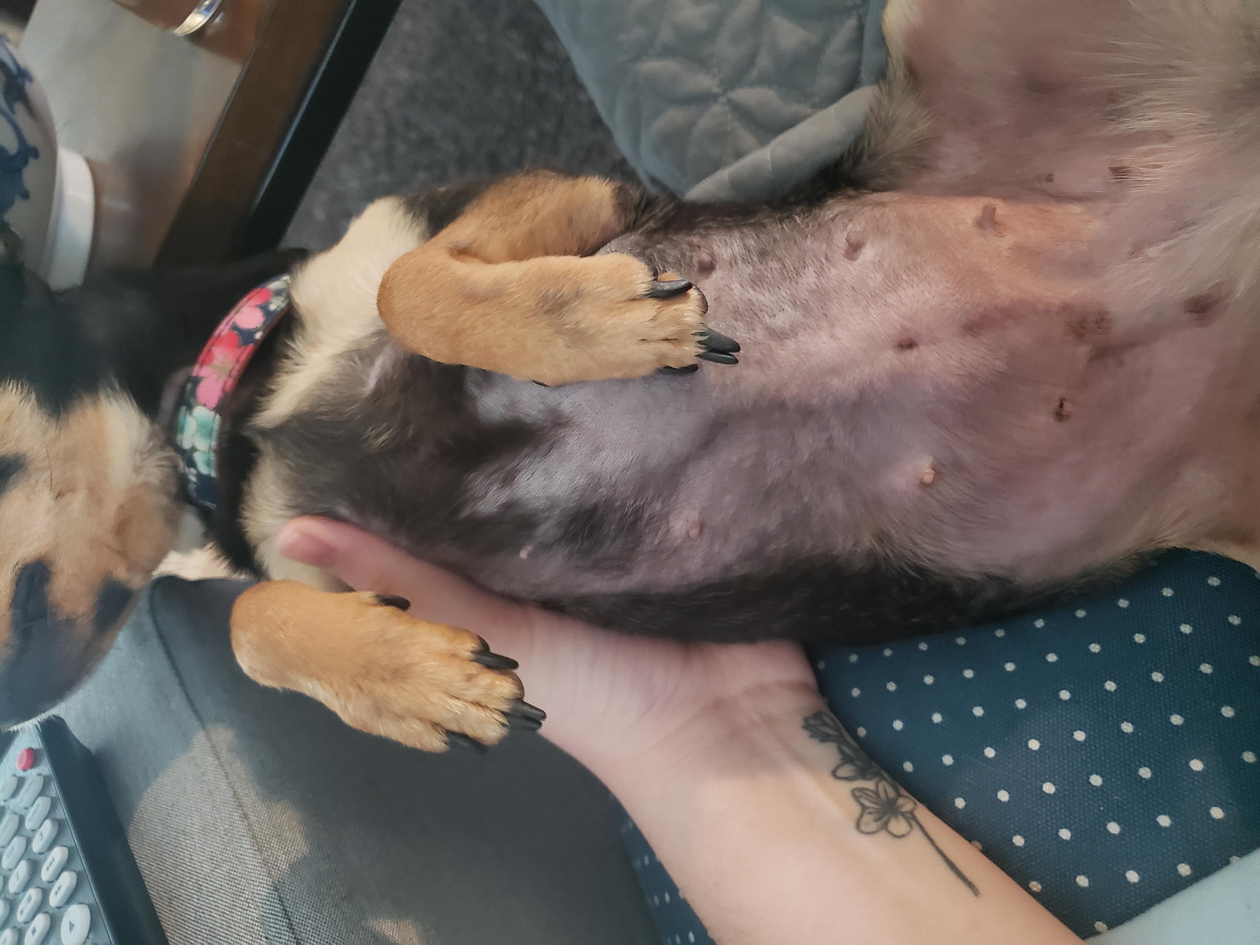 Question details sensitive content