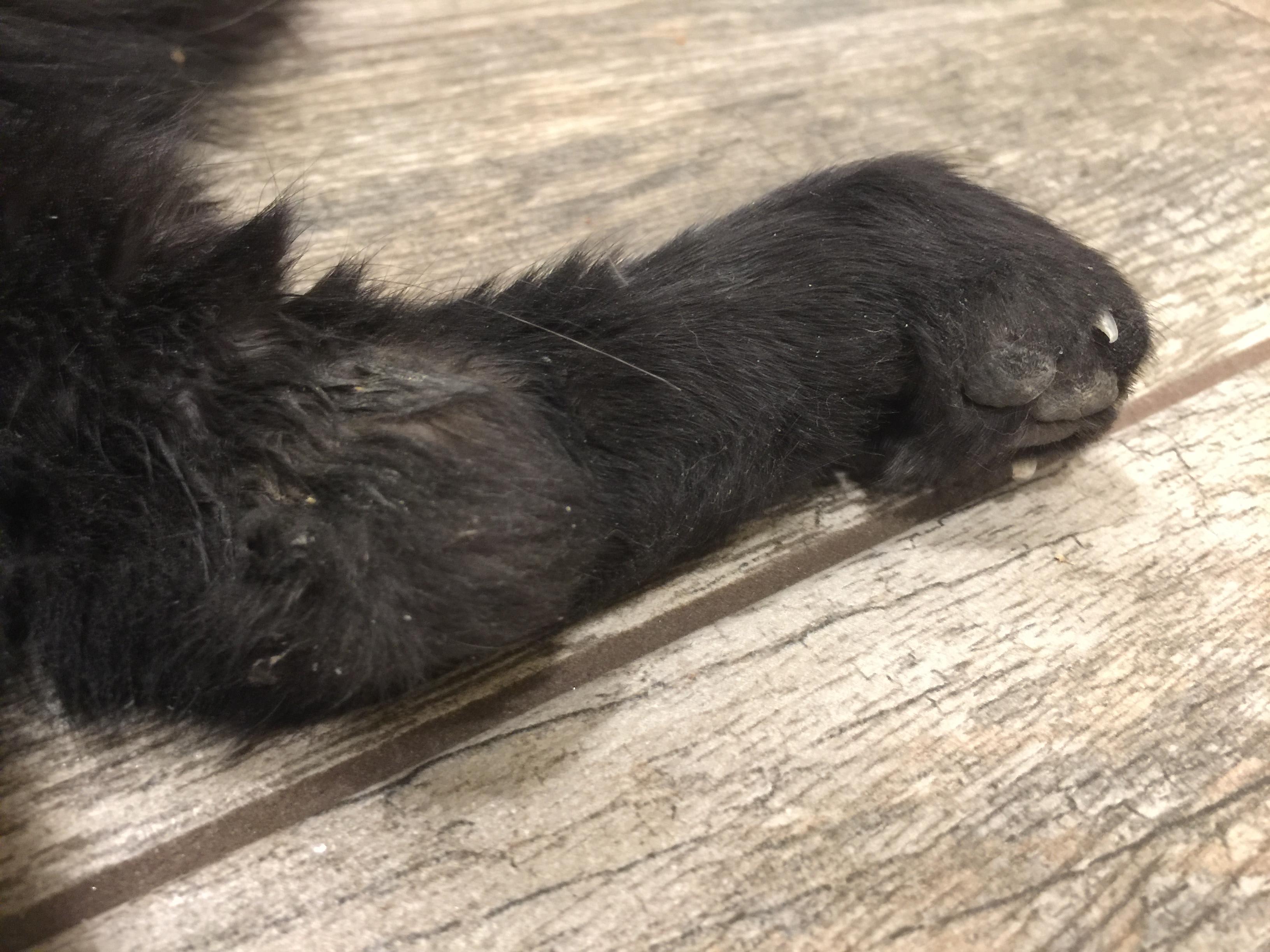 Question details sensitive content