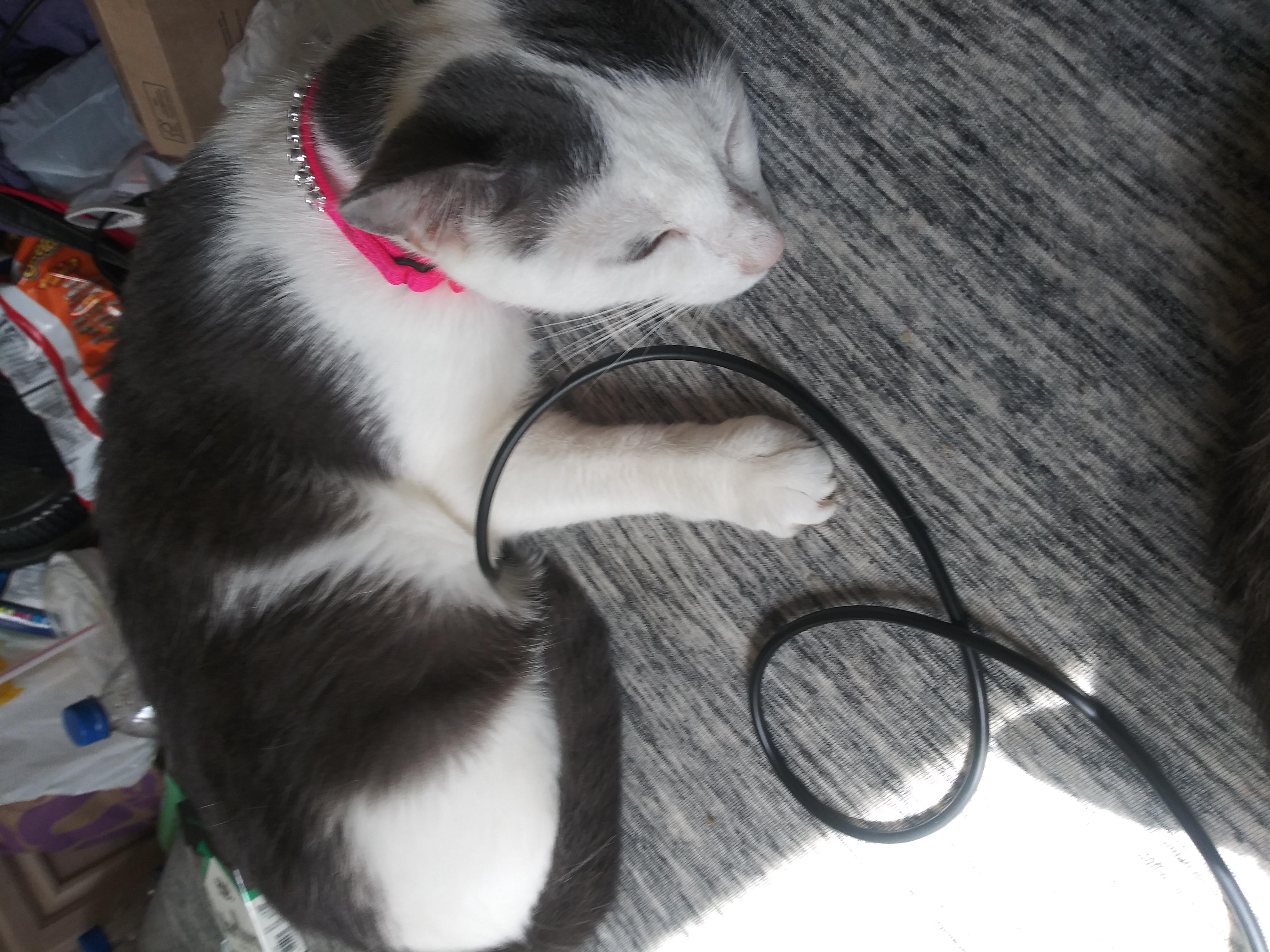 Question details sensitive content