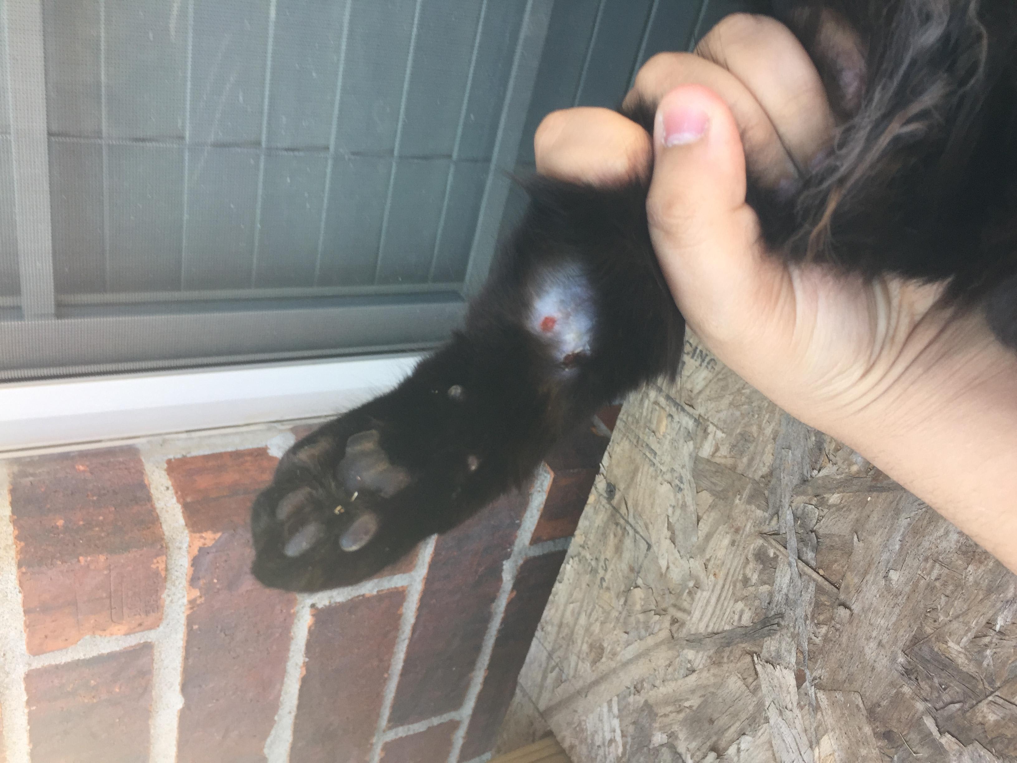 Question details sensitive content