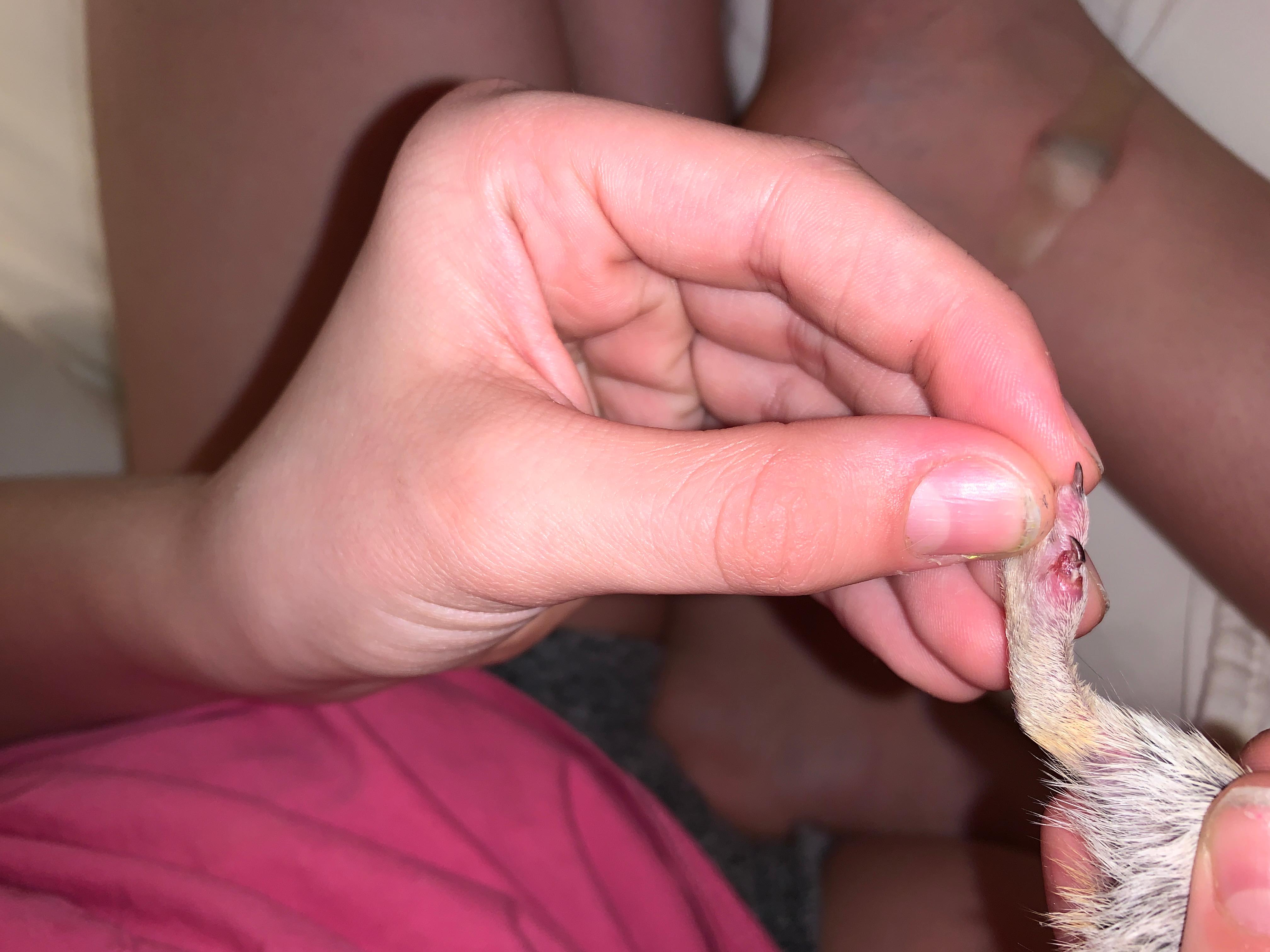 Question details sensitive content