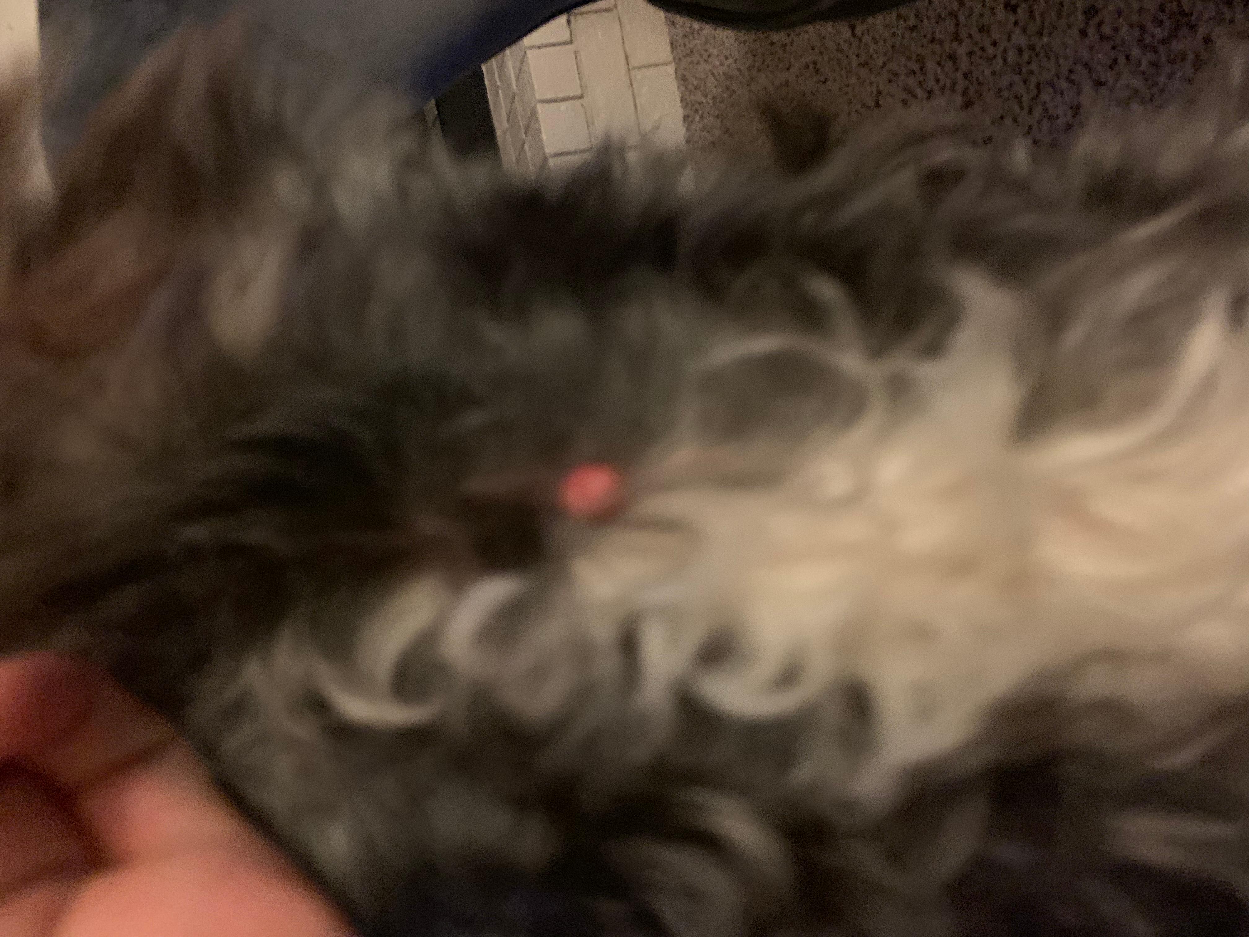 Question details sensitive content