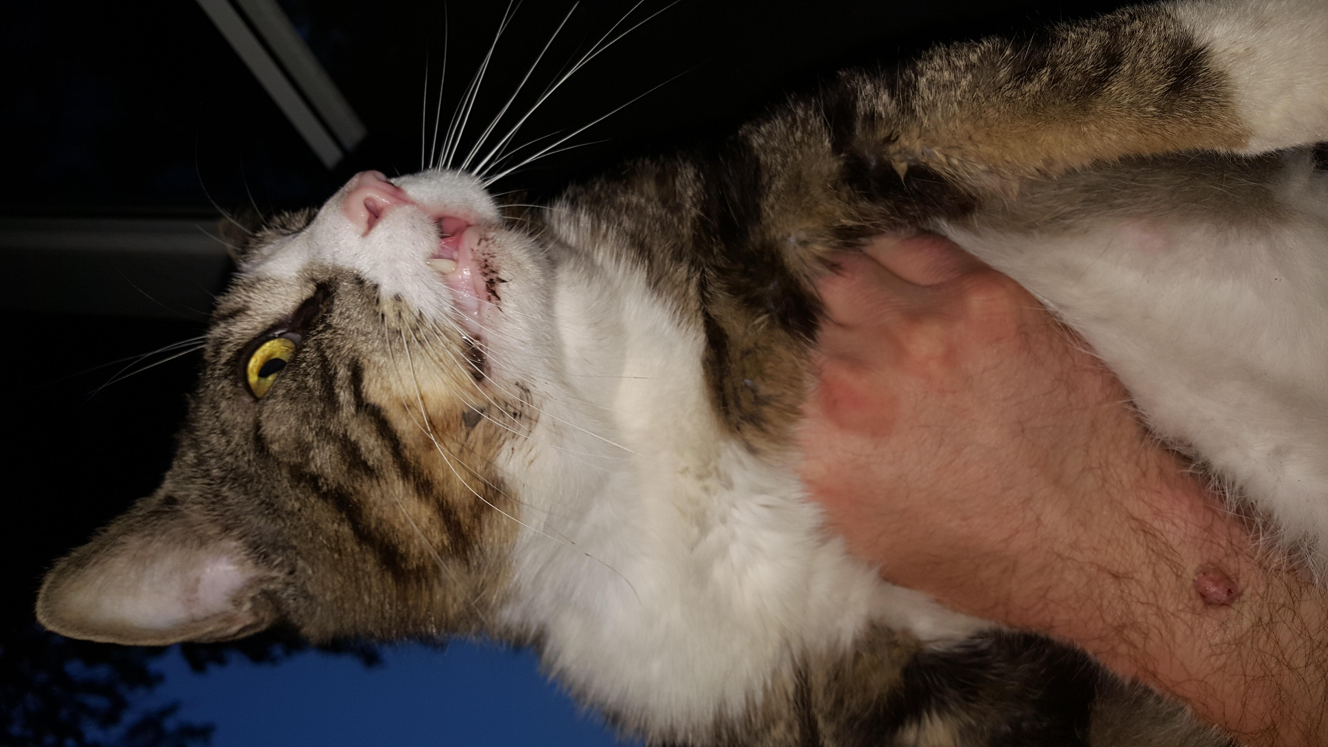 Question details sensitive content