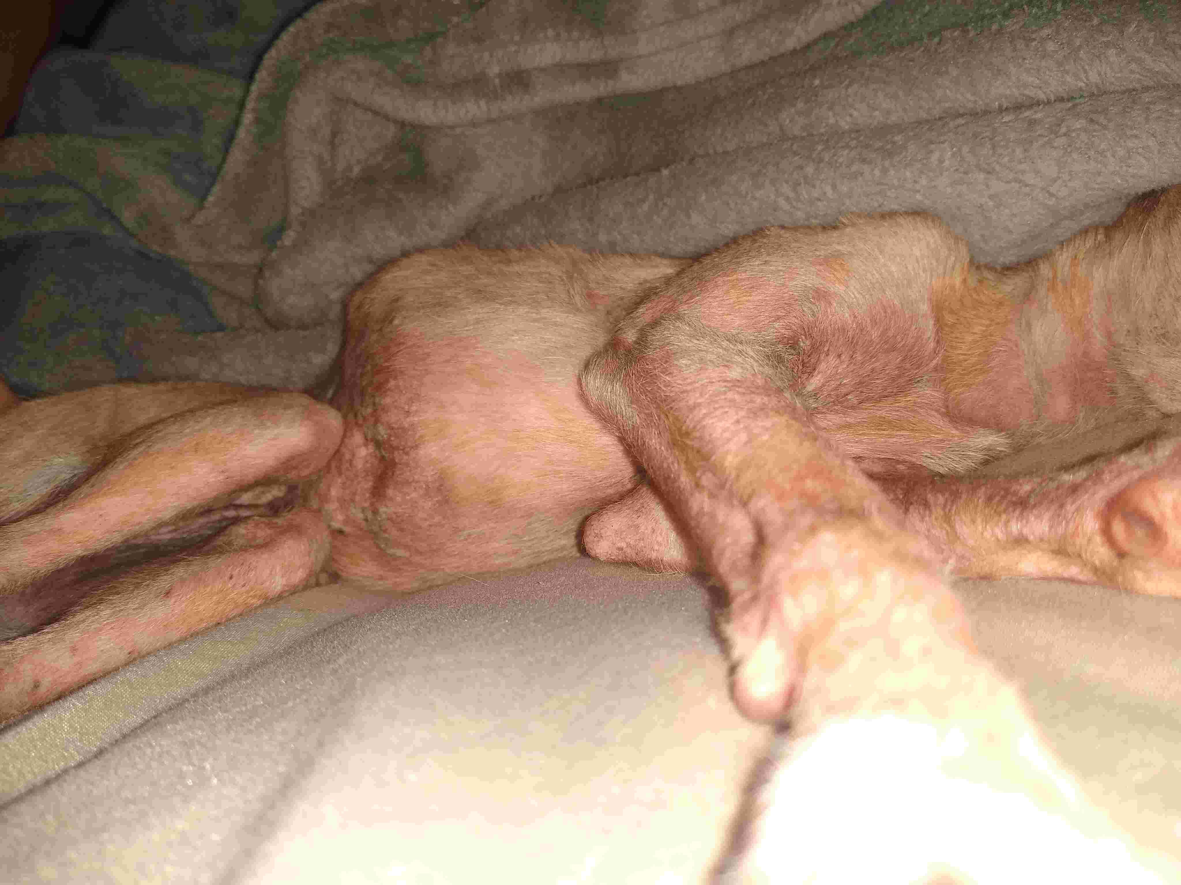 Question details sensitive content