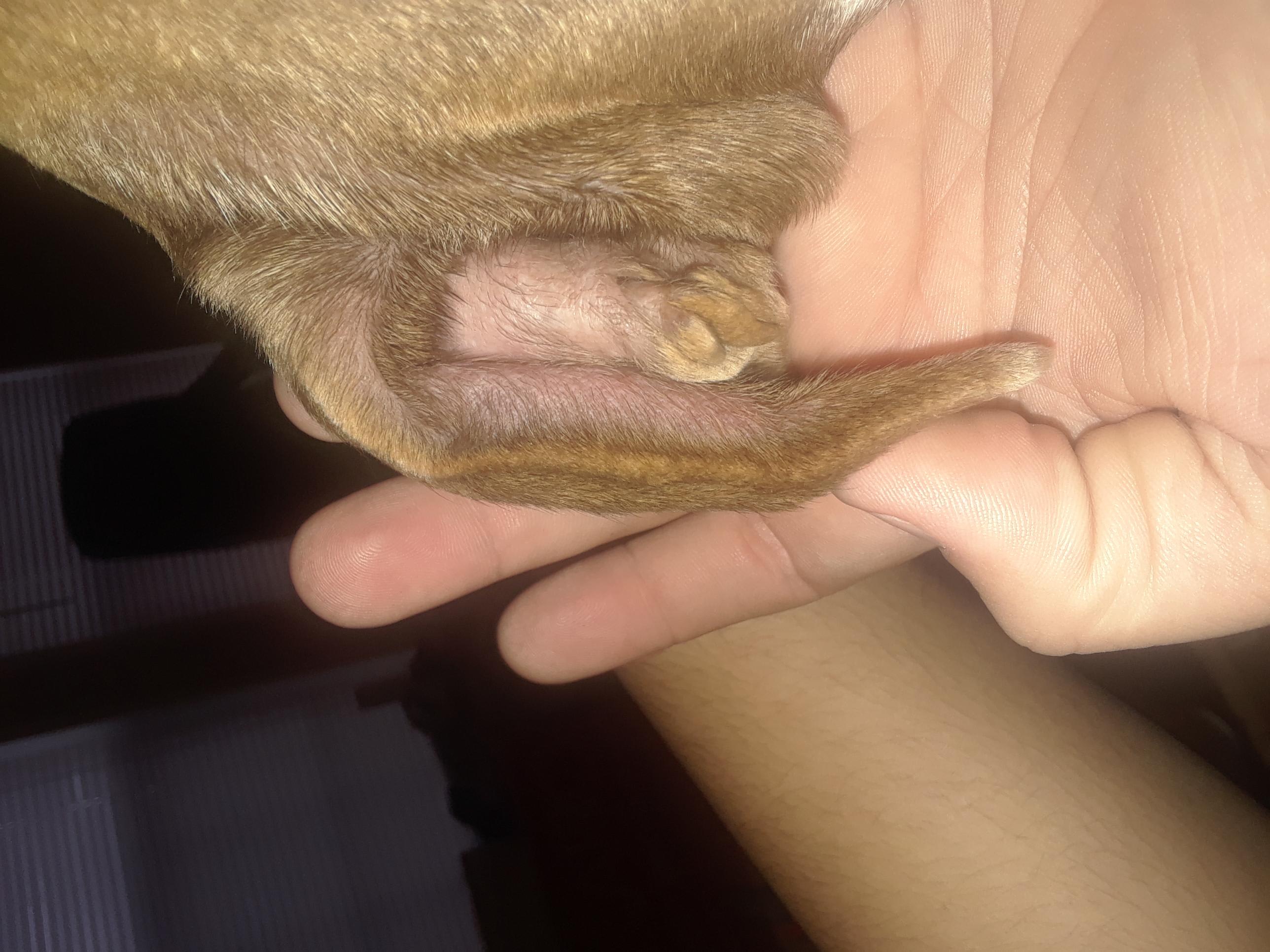 Question details sensitive content