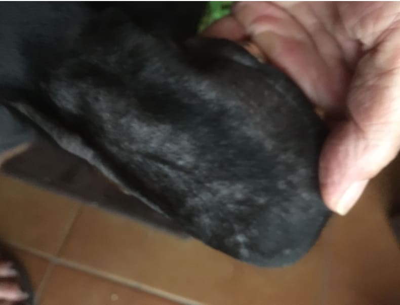 Question details sensitive content