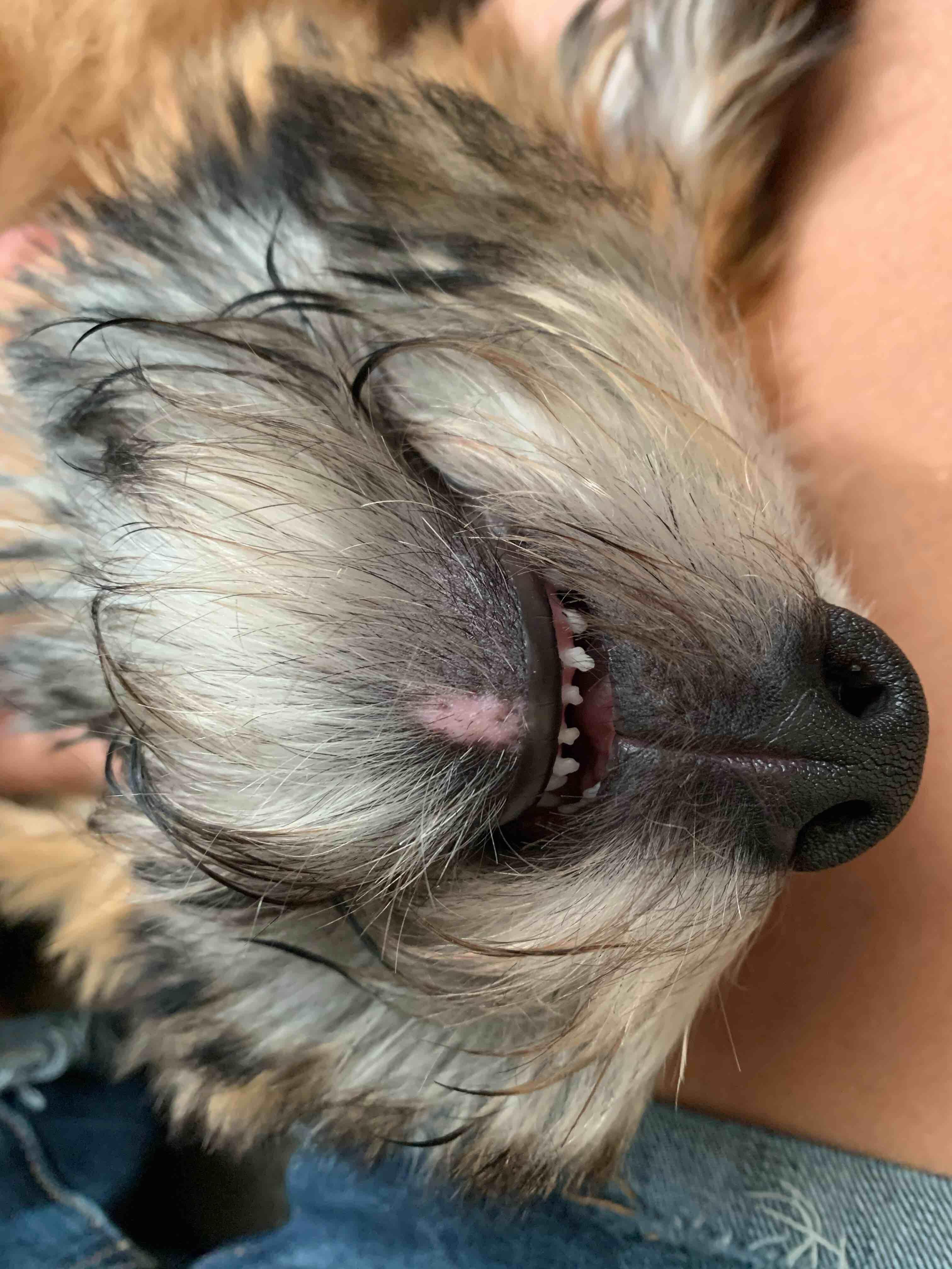 Question details sensitive content