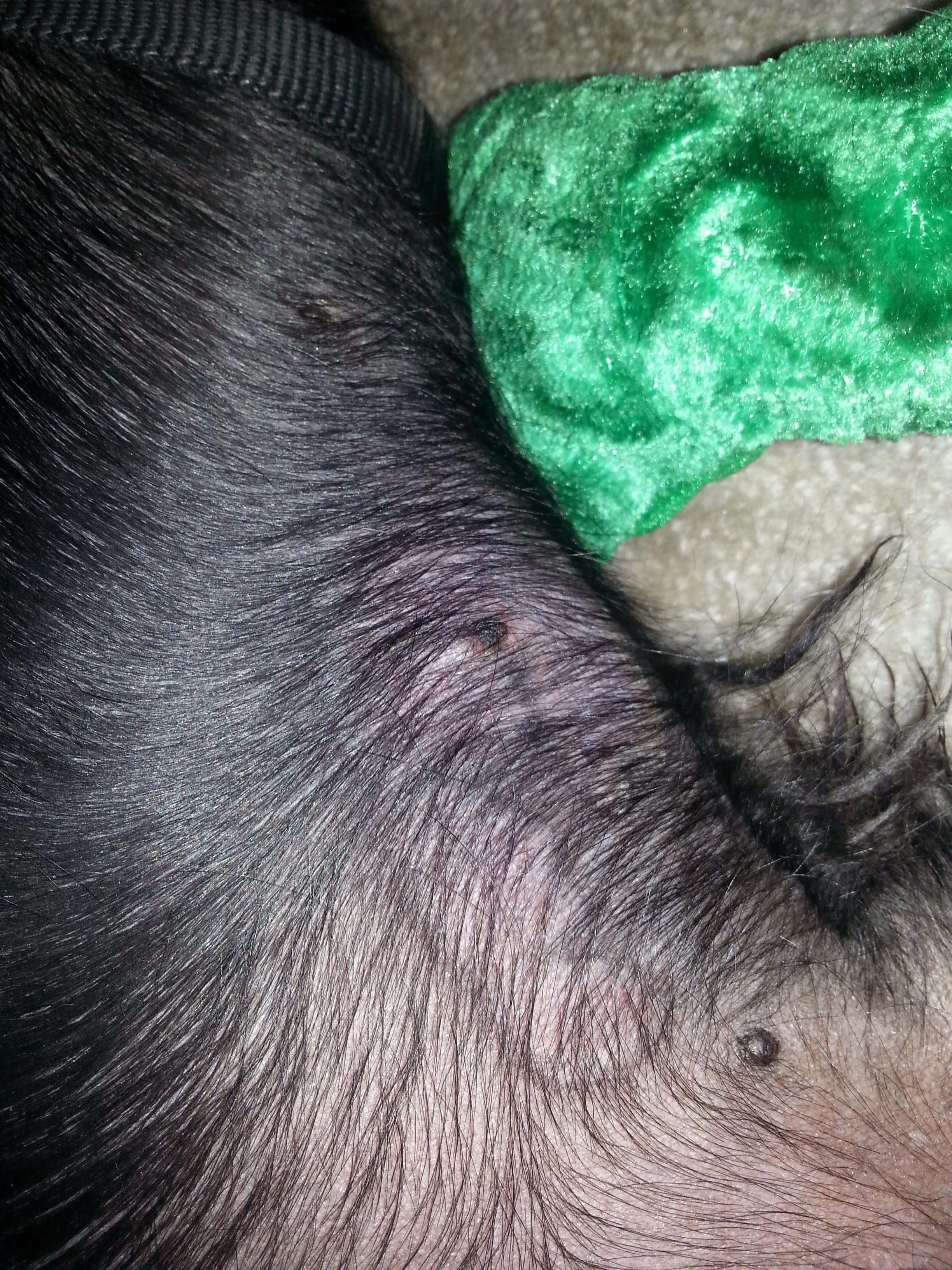 Question details sensitive content