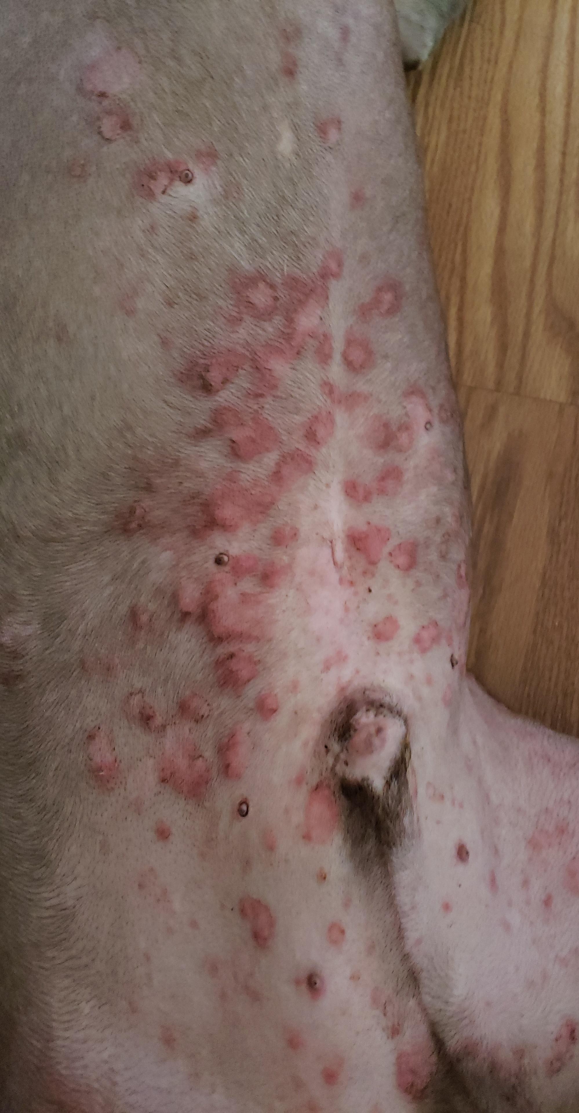 Question details sensitive content