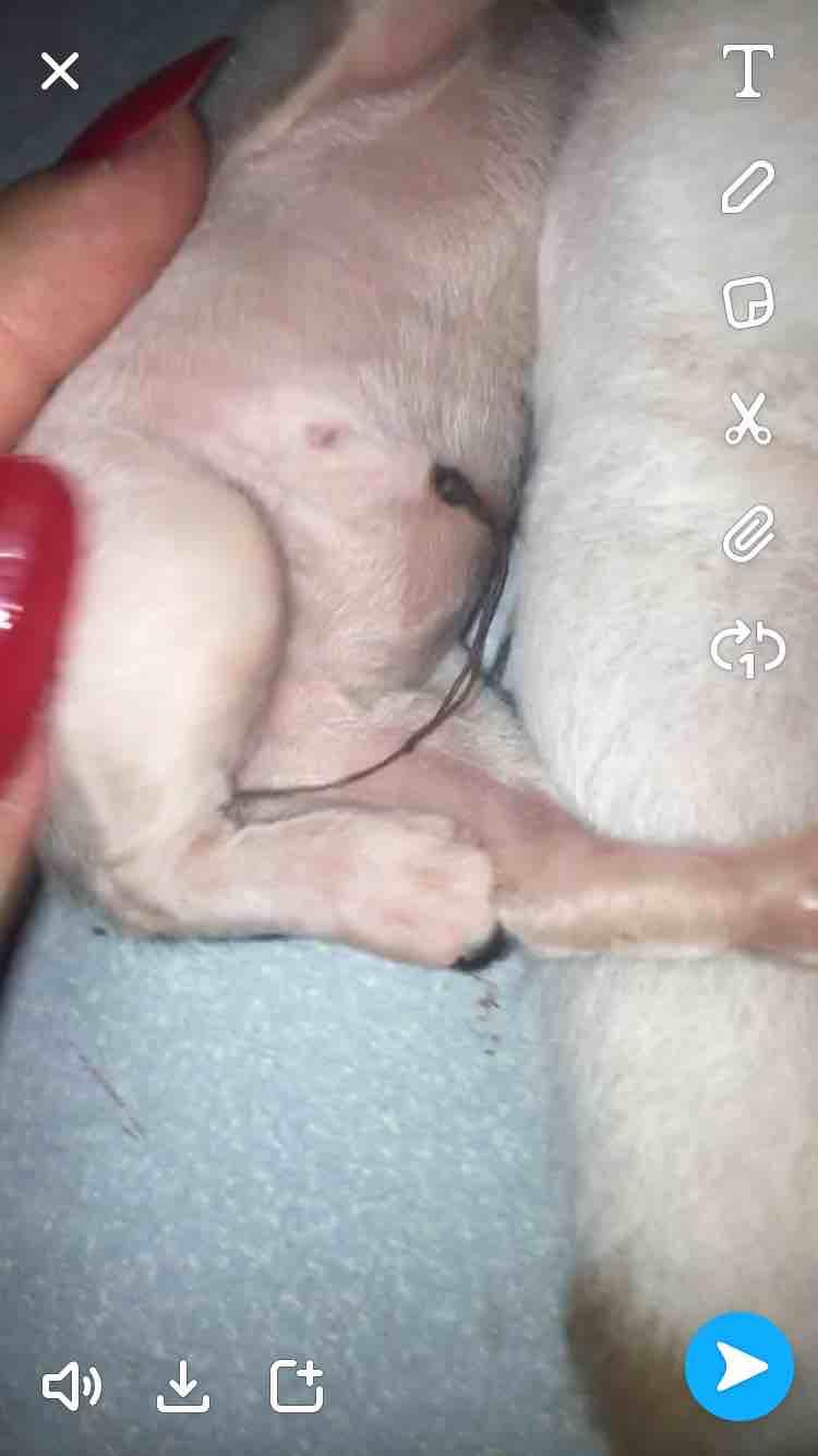 Question details sensitive content