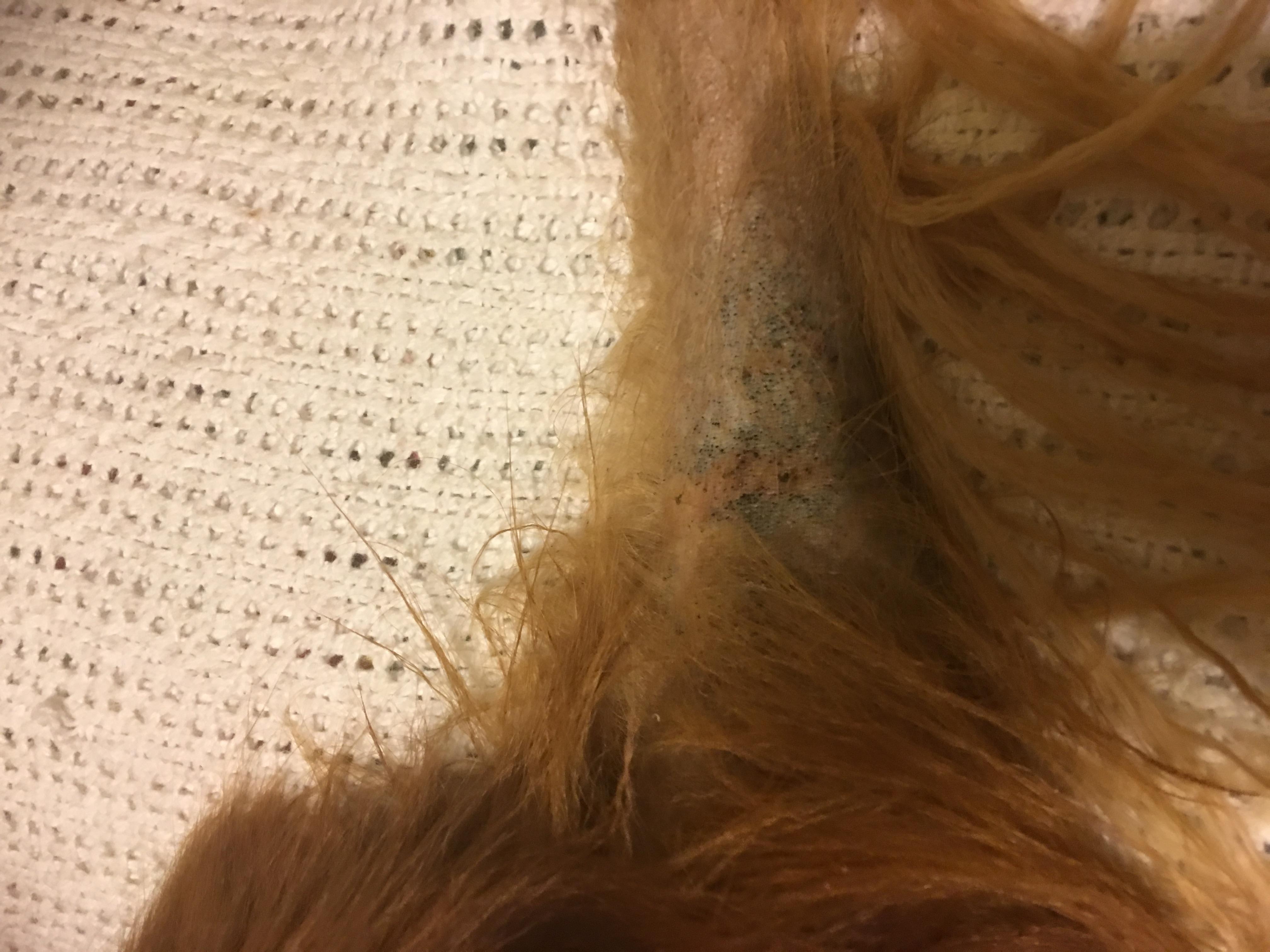 Question details sensitive content