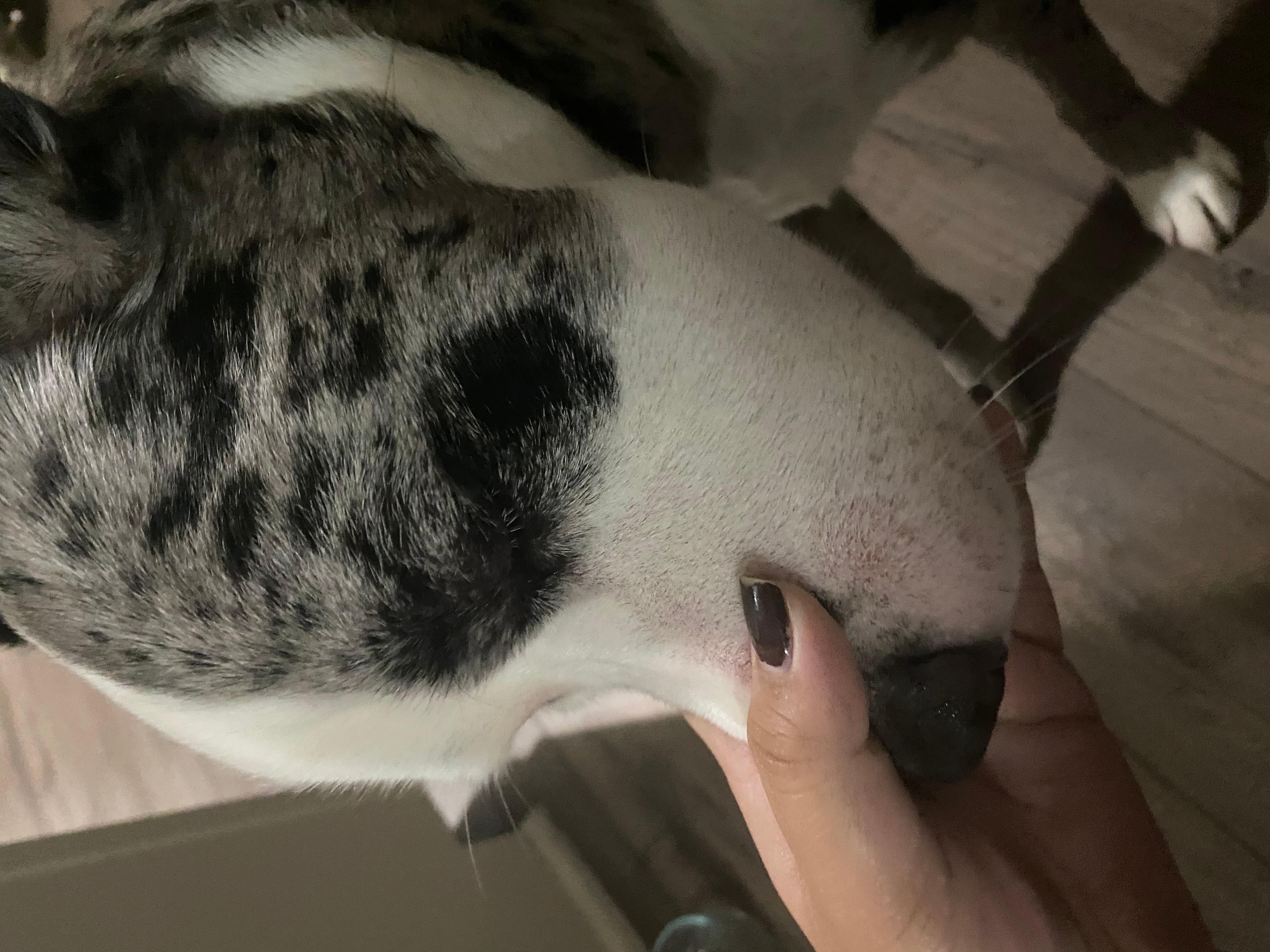 Question details sensitive content