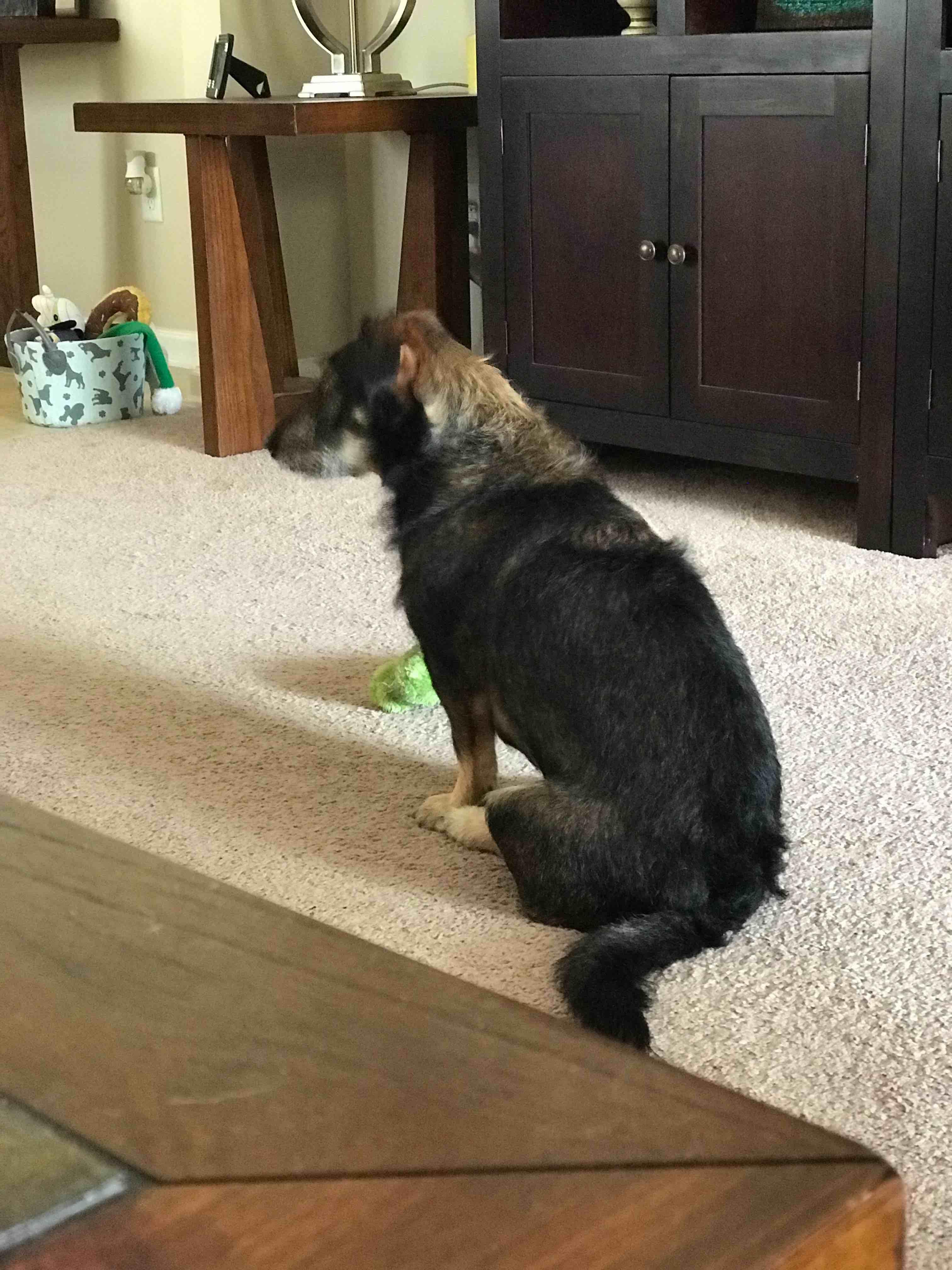 Question details sensitive content