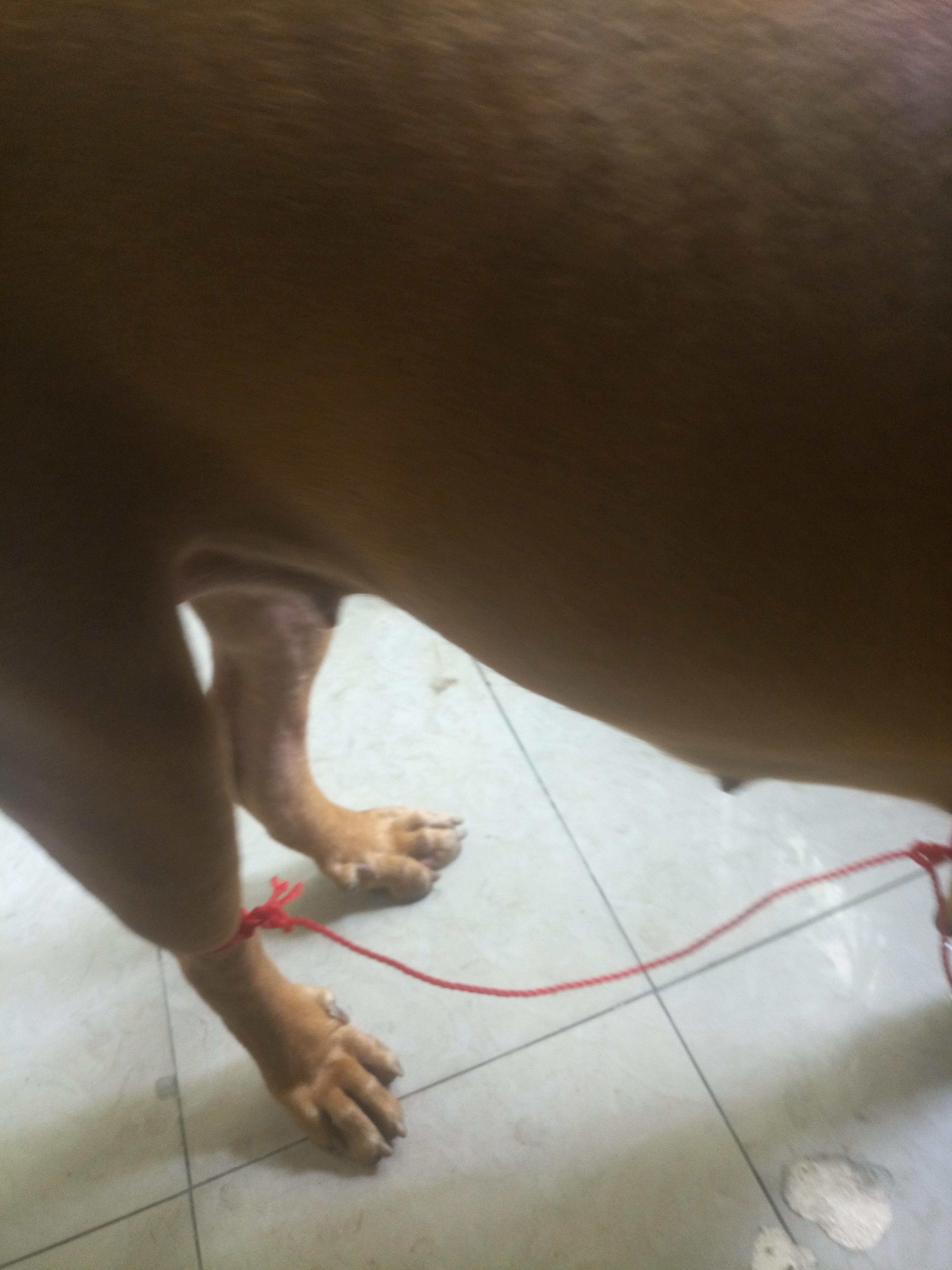 Question details sensitive content