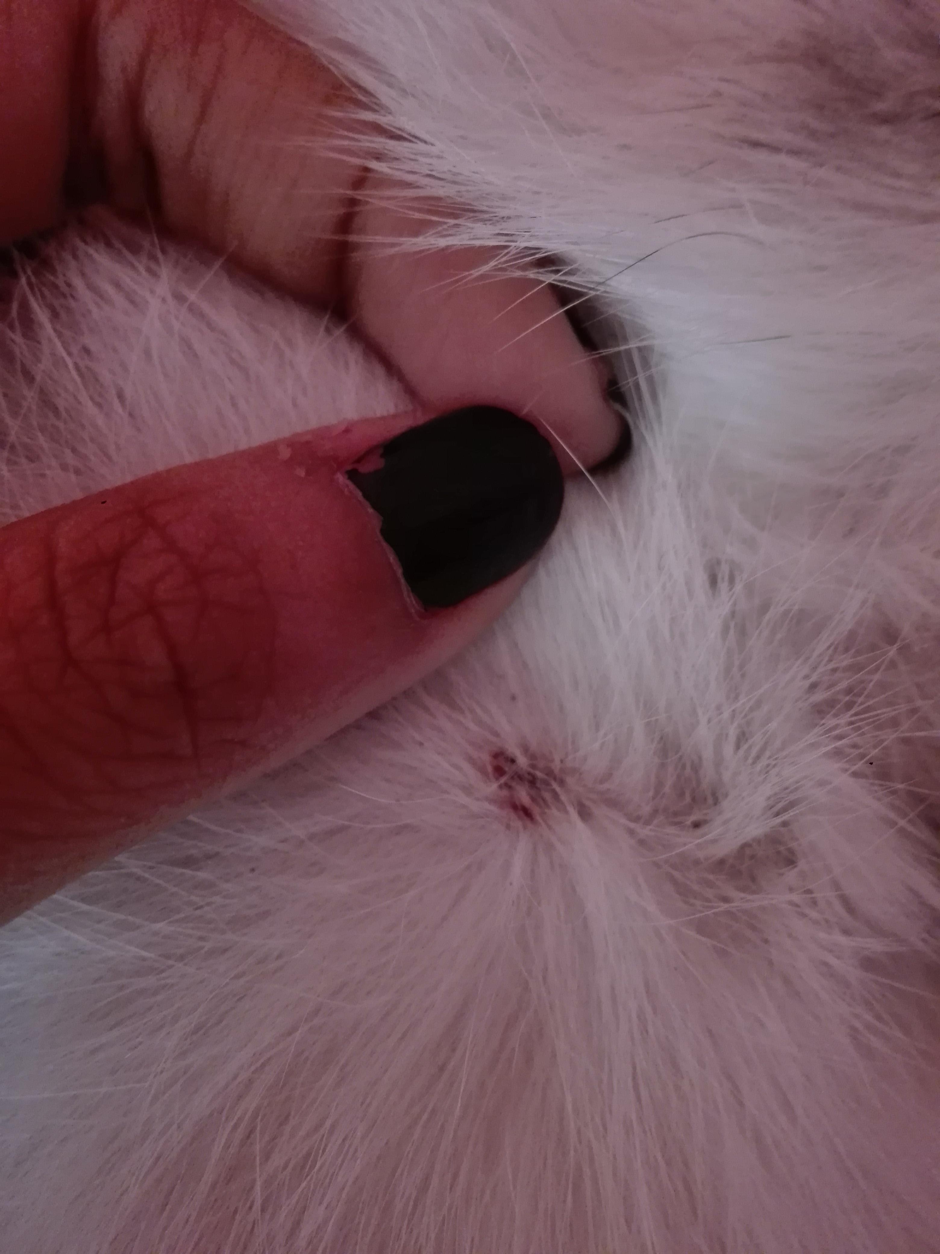 Question details sensitive content