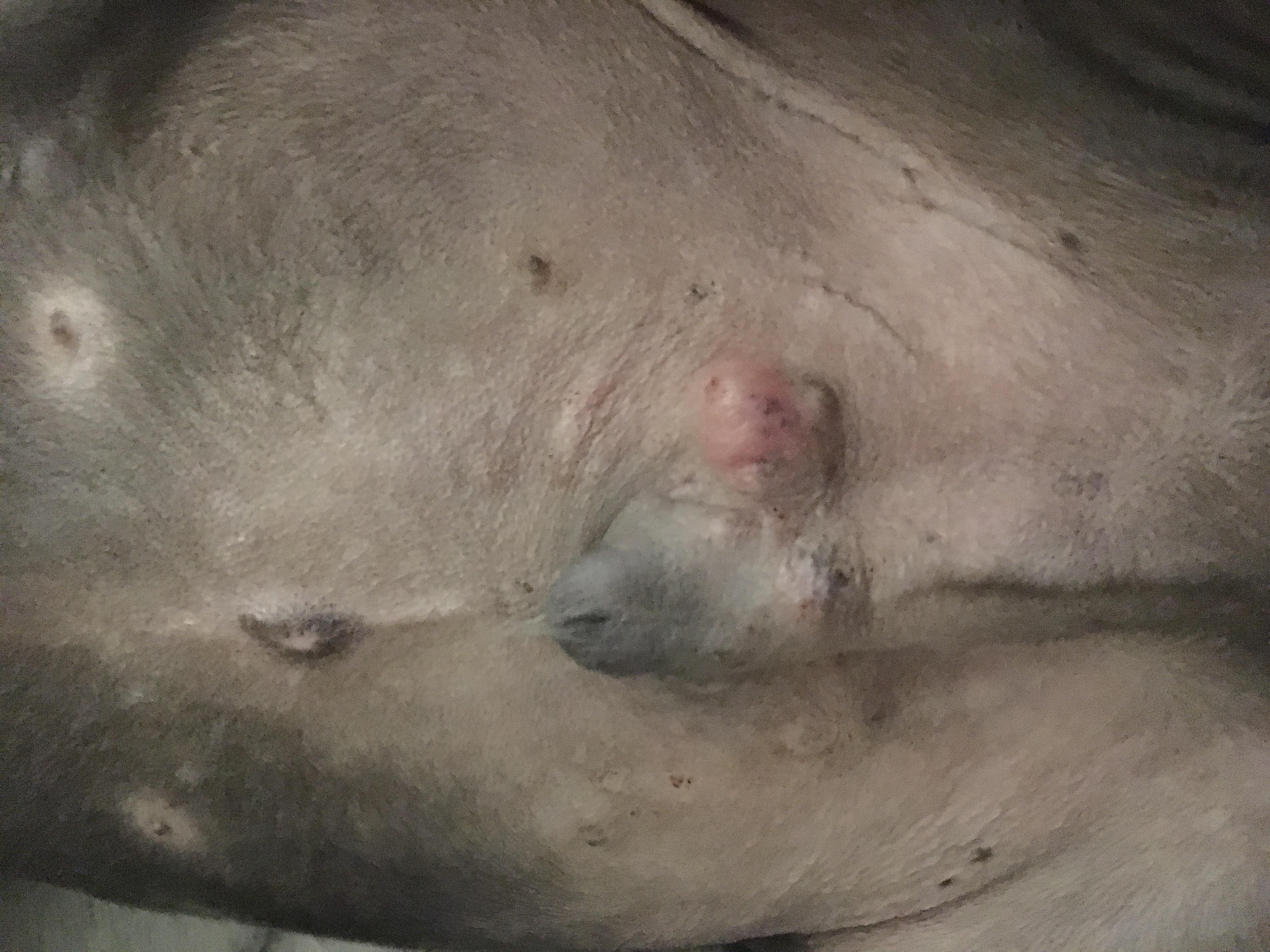 Question details sensitive content