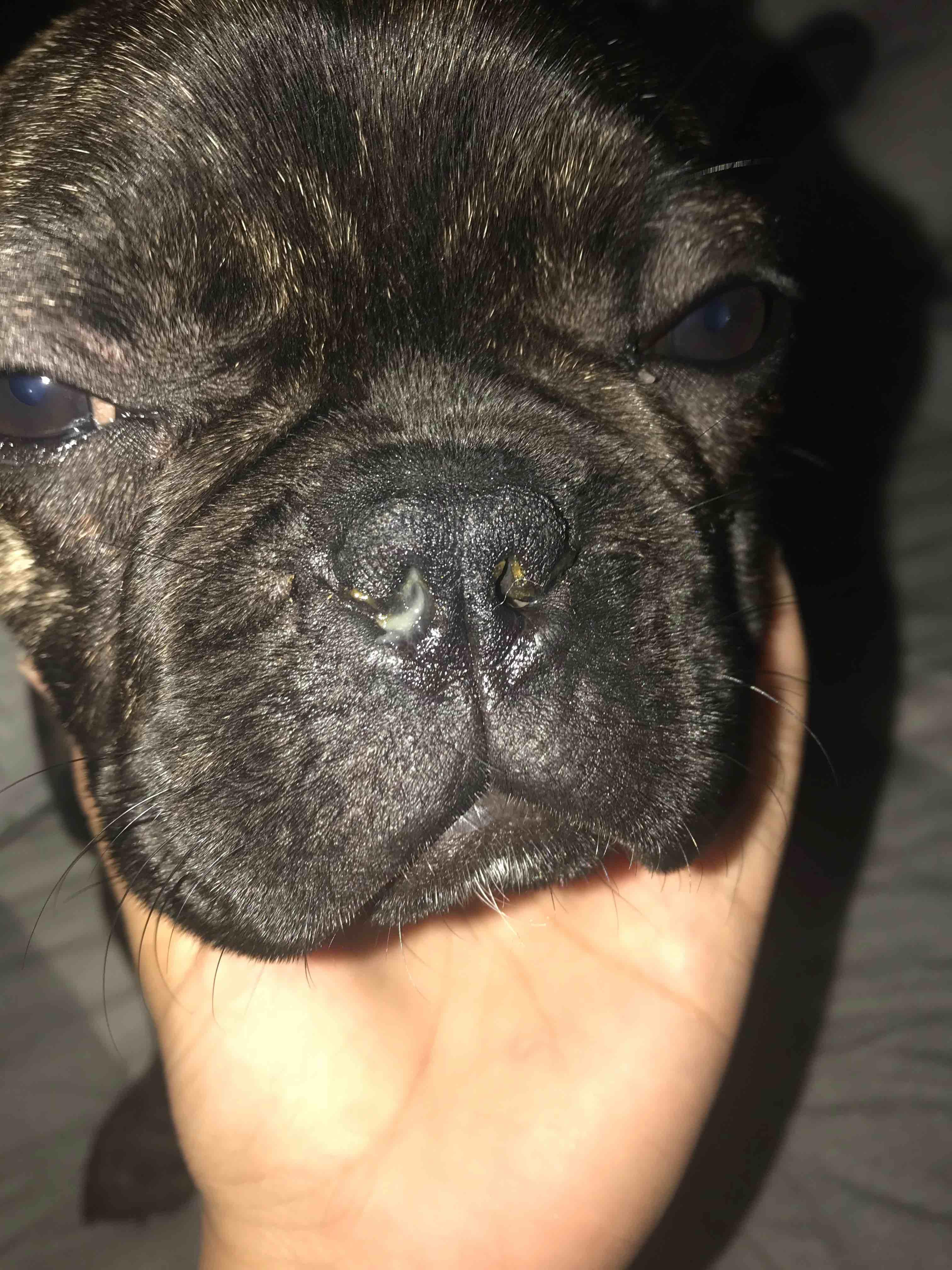 Question details sensitive content