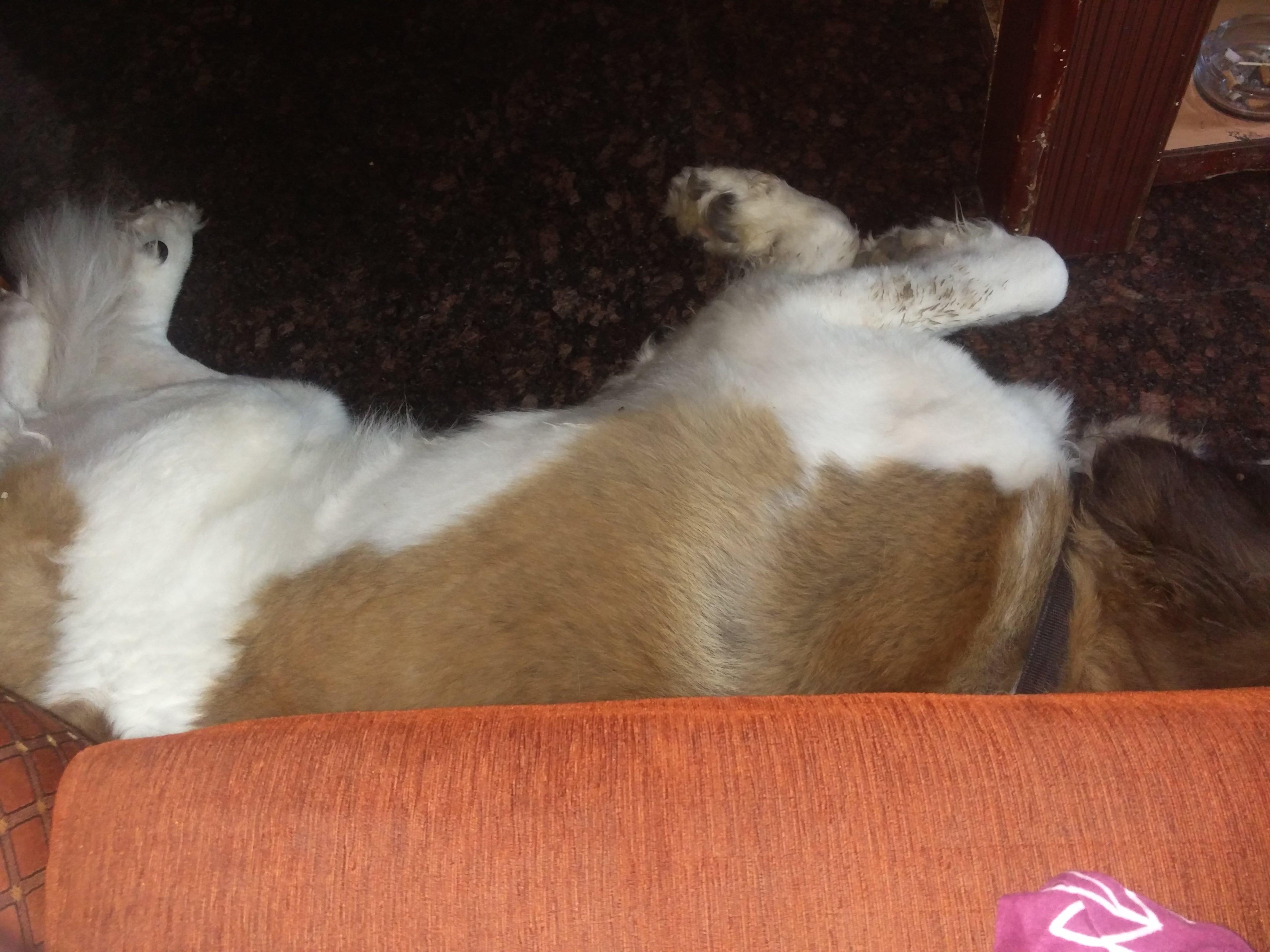 Question details sensitive content