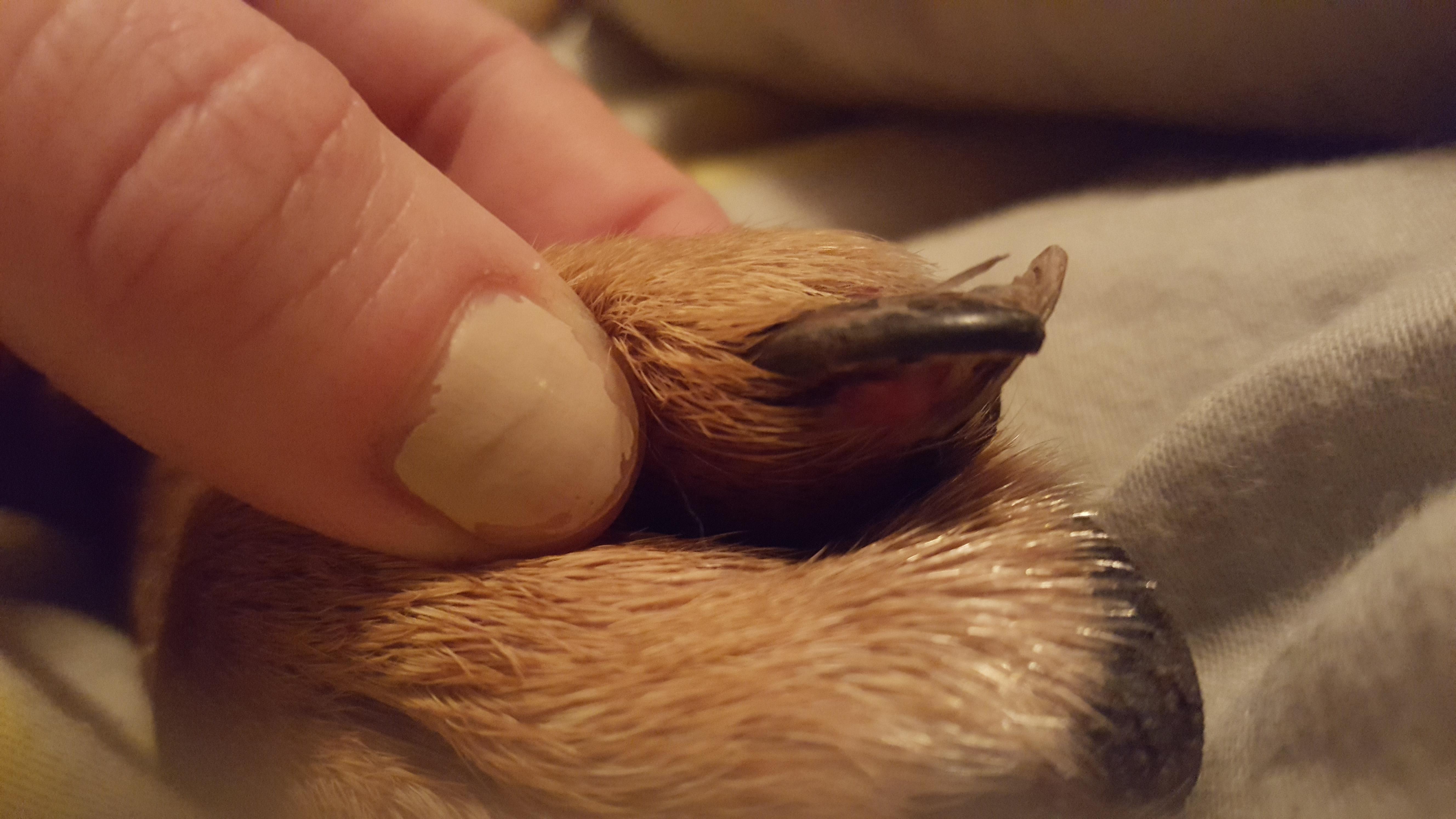 Question details sensitive content