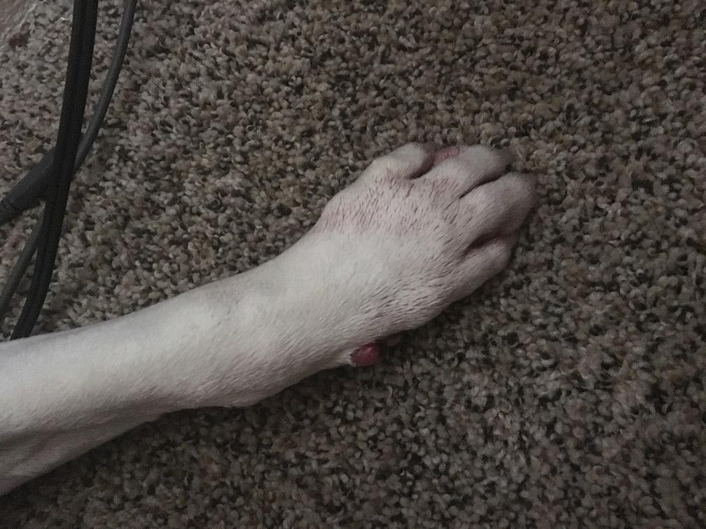 Question details sensitive content