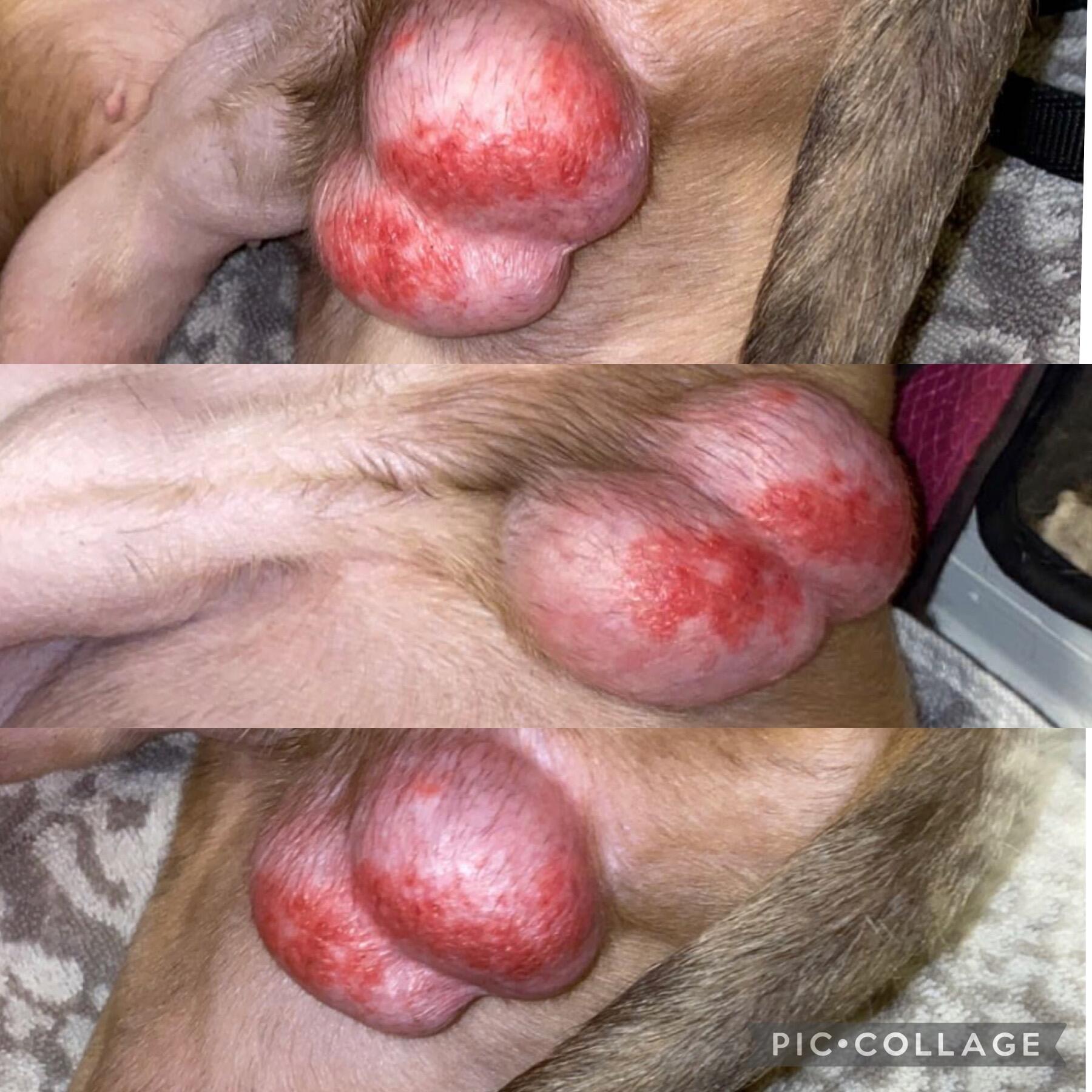 Question details sensitive content