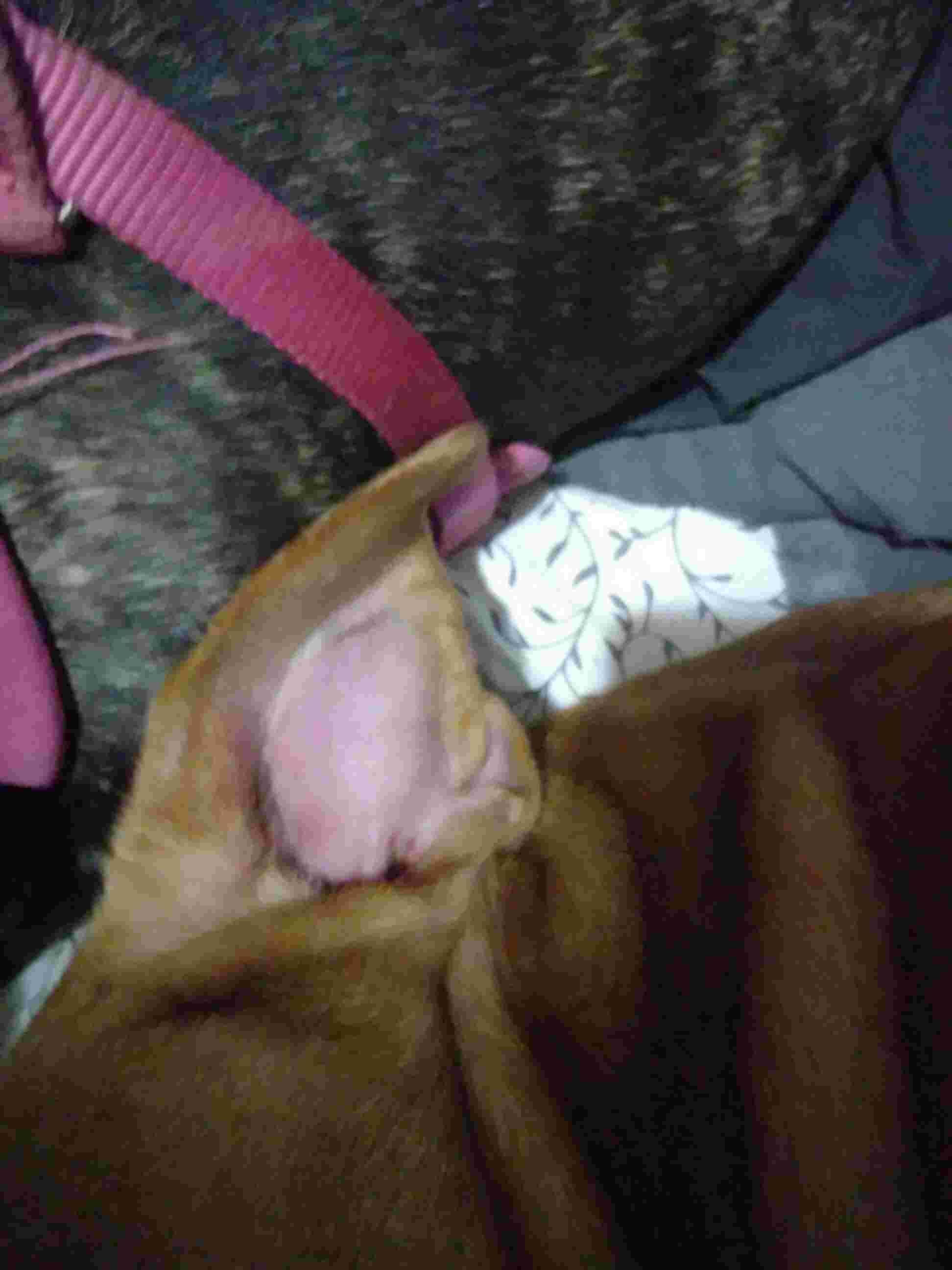 Question details sensitive content