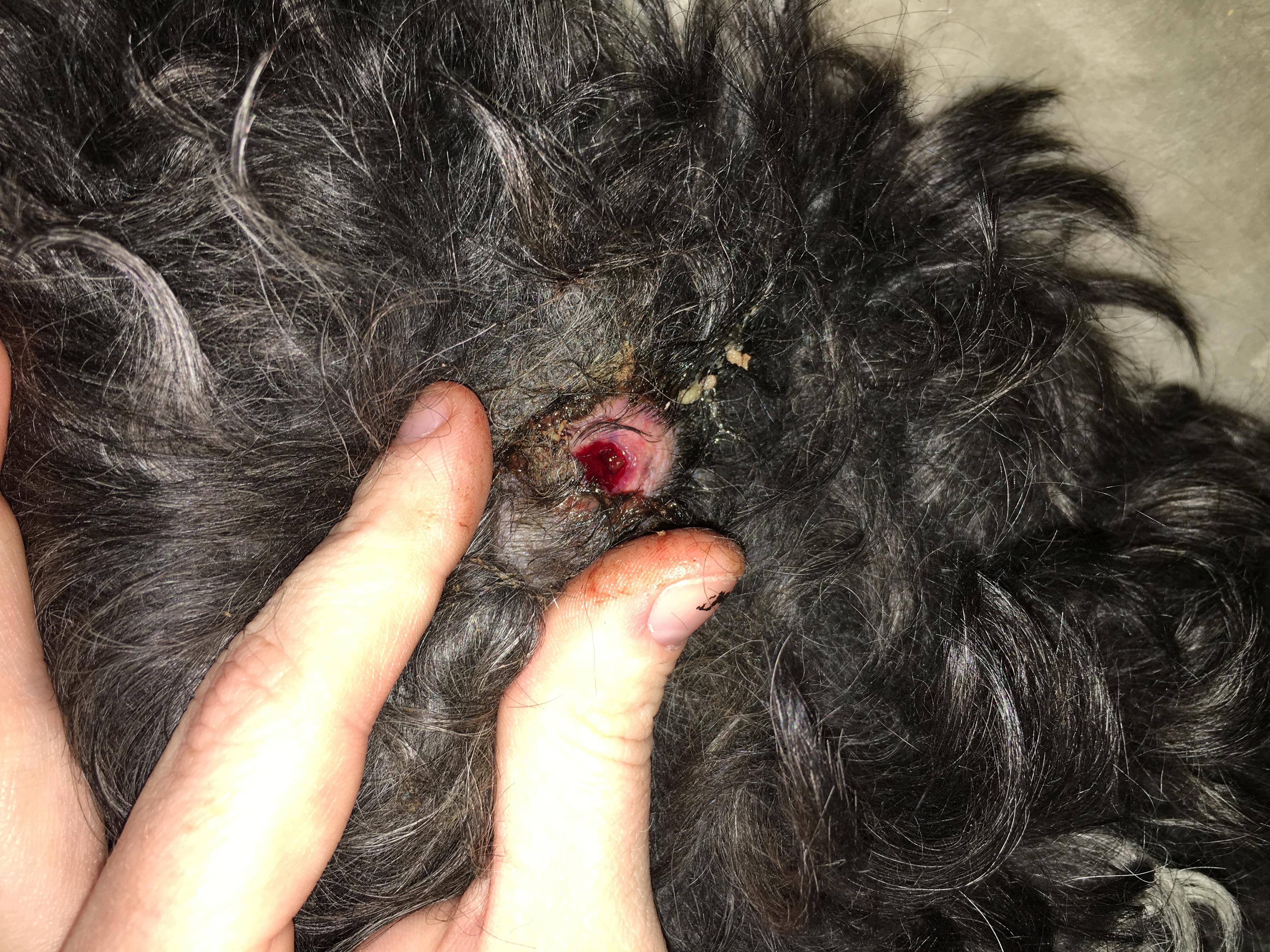 Question details sensitive content