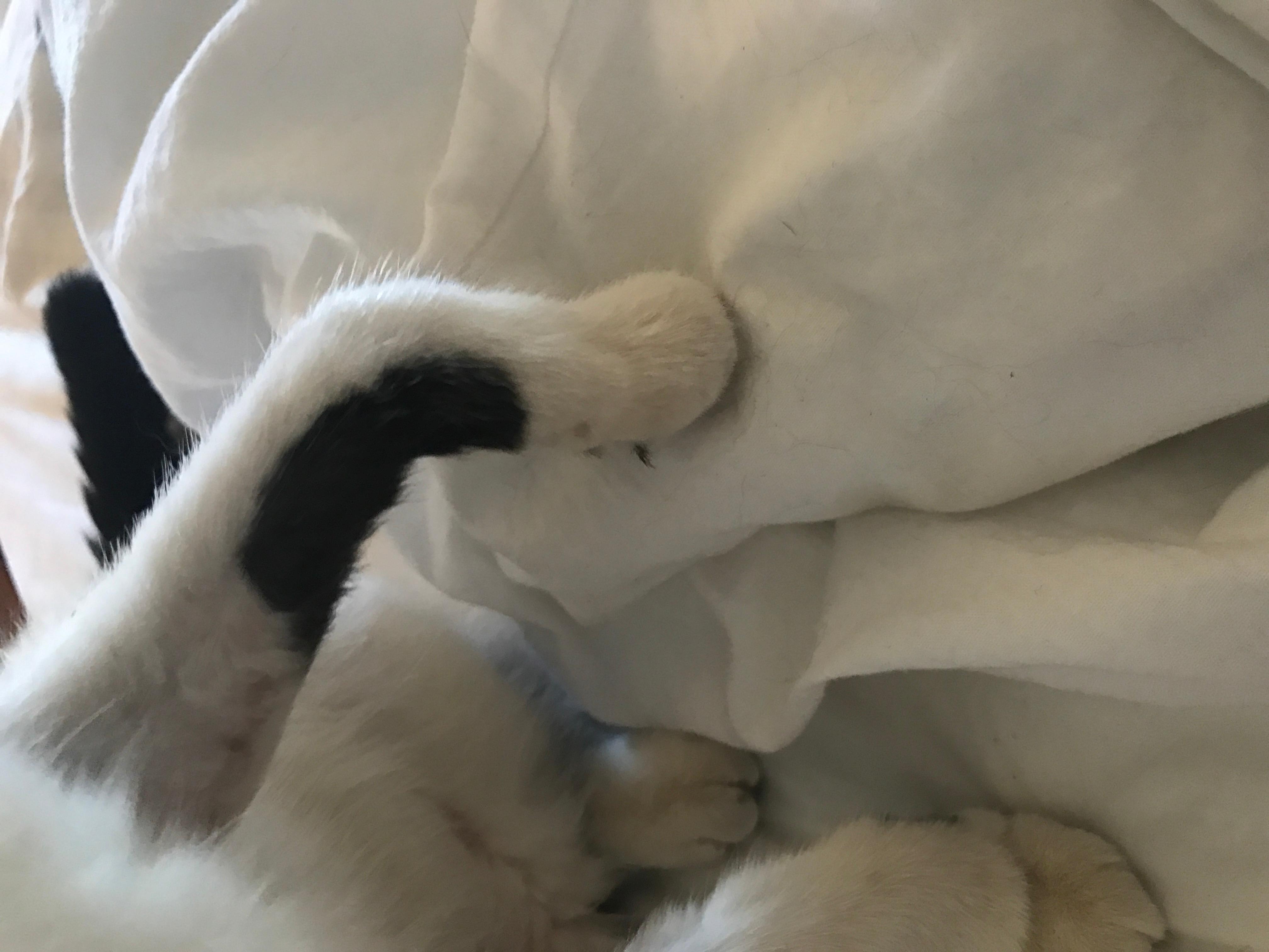 Question details sensitive content