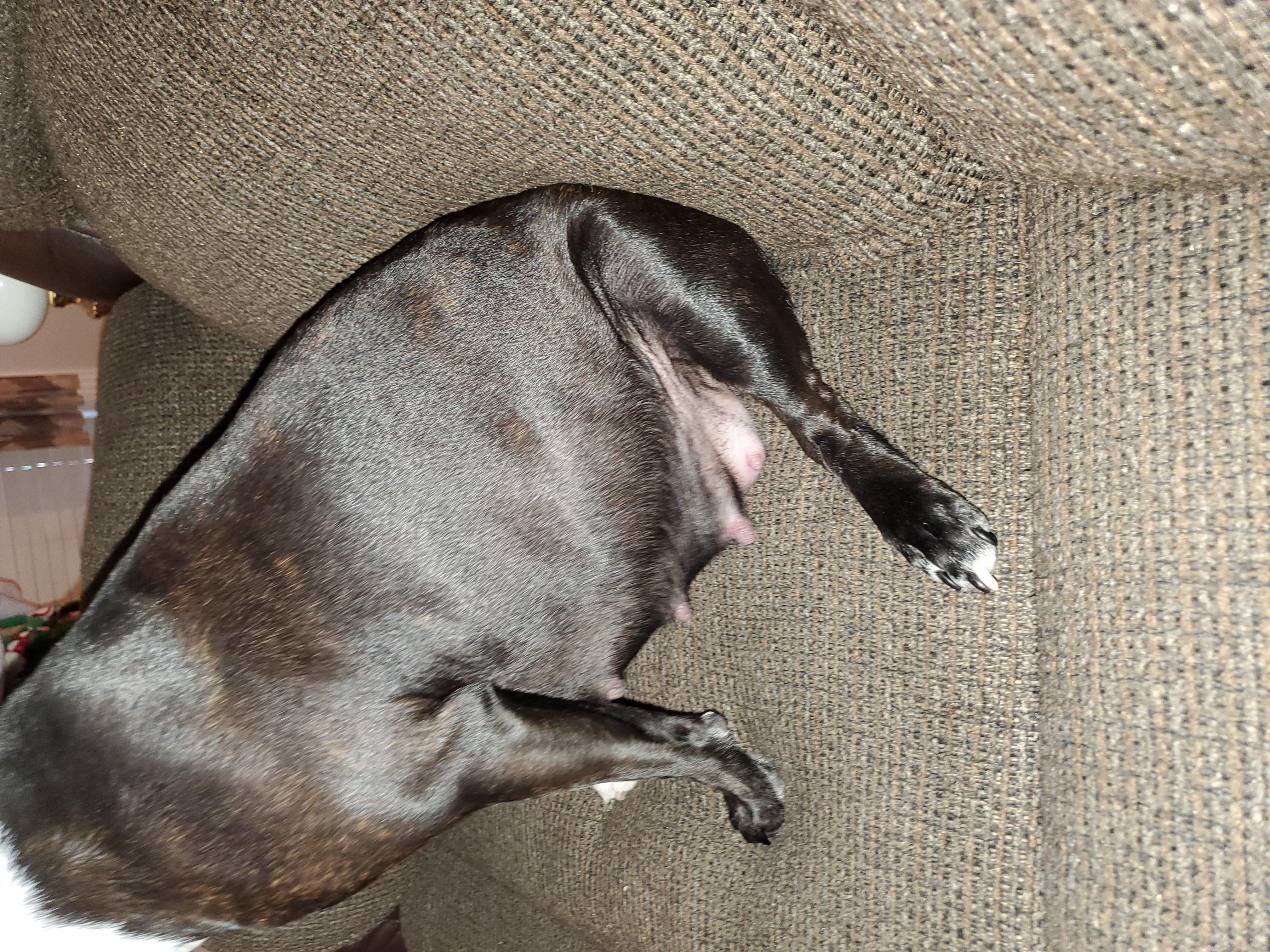 Question details sensitive content