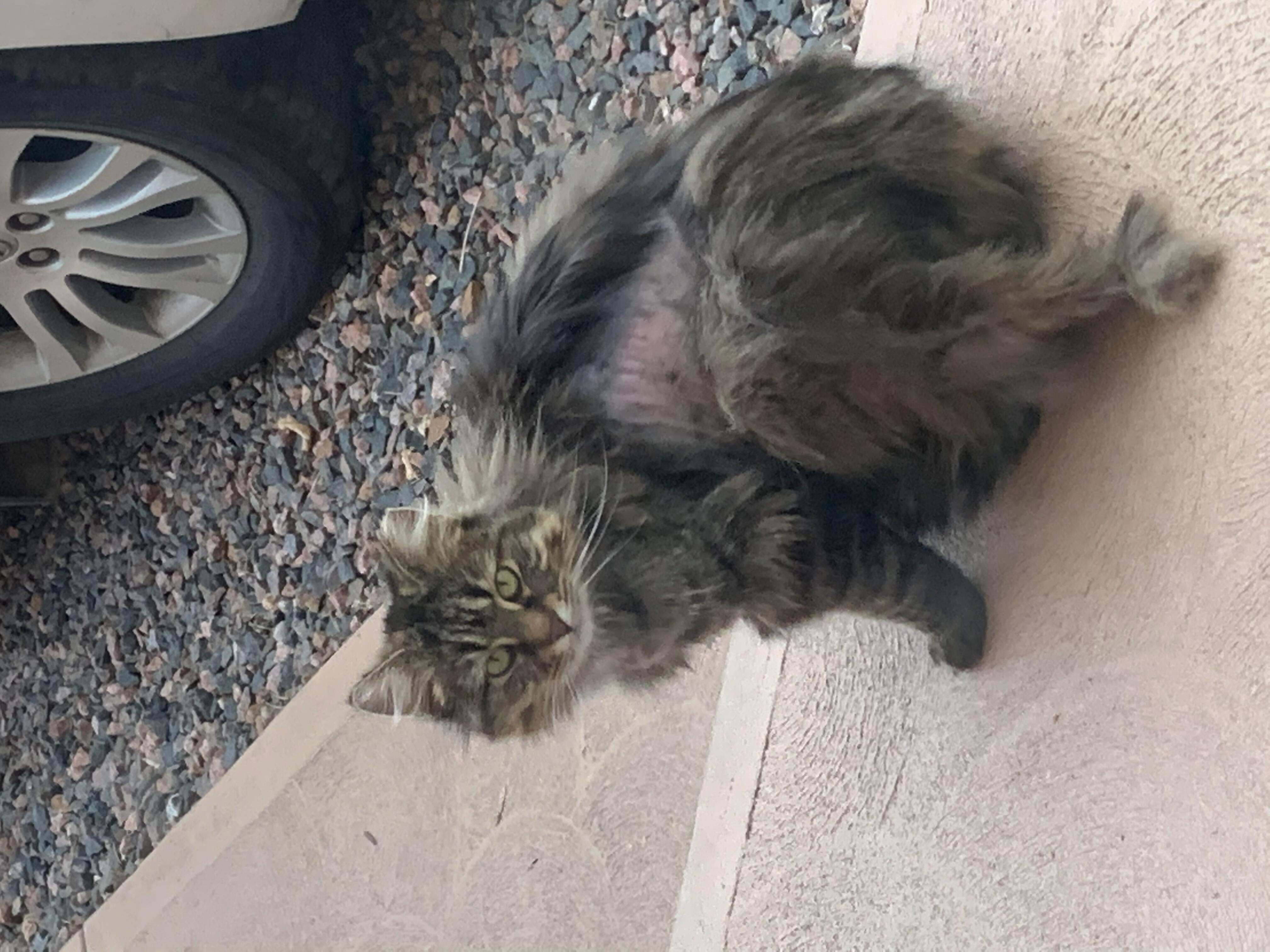 Question details sensitive content