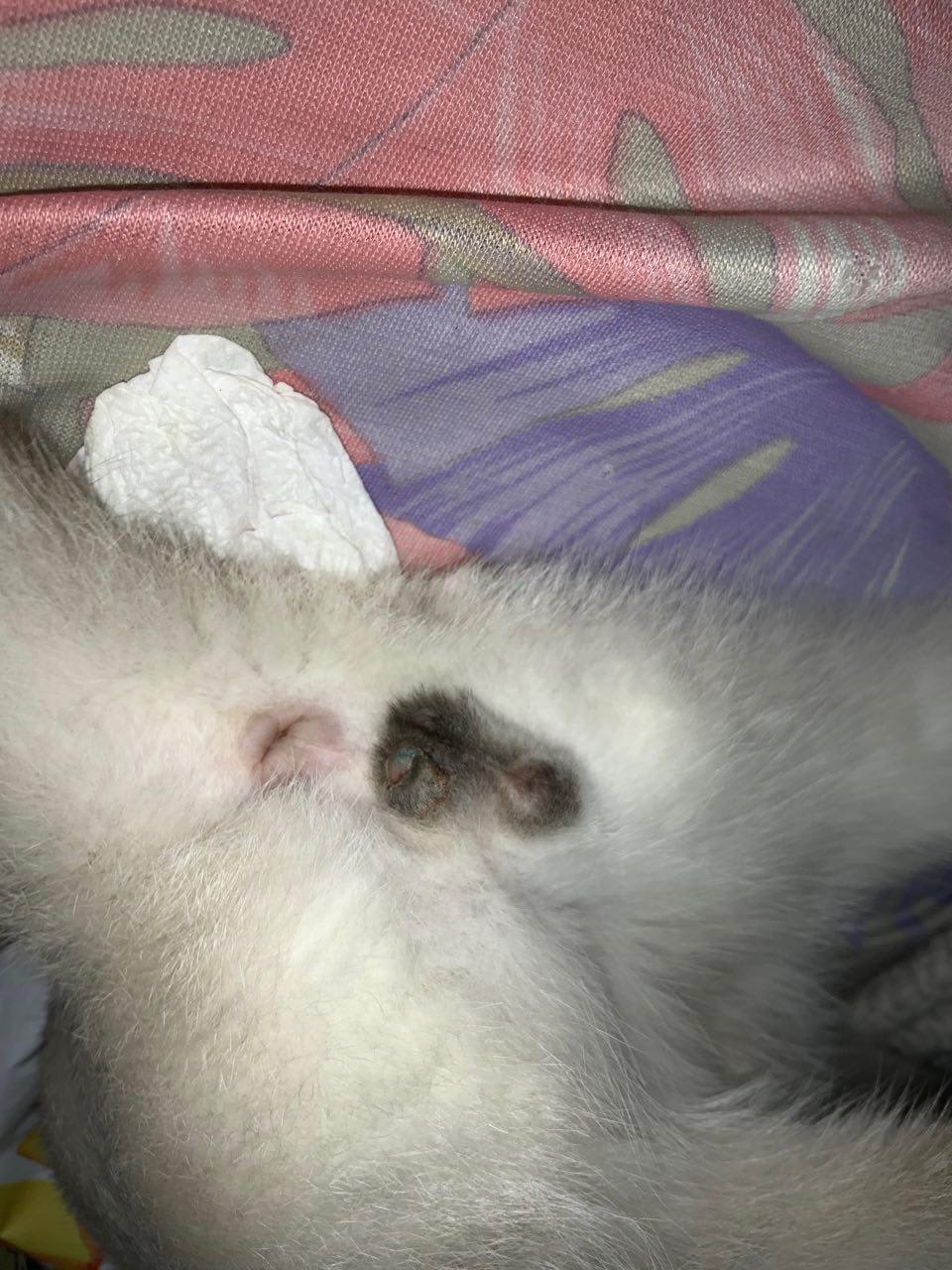 Question details sensitive content