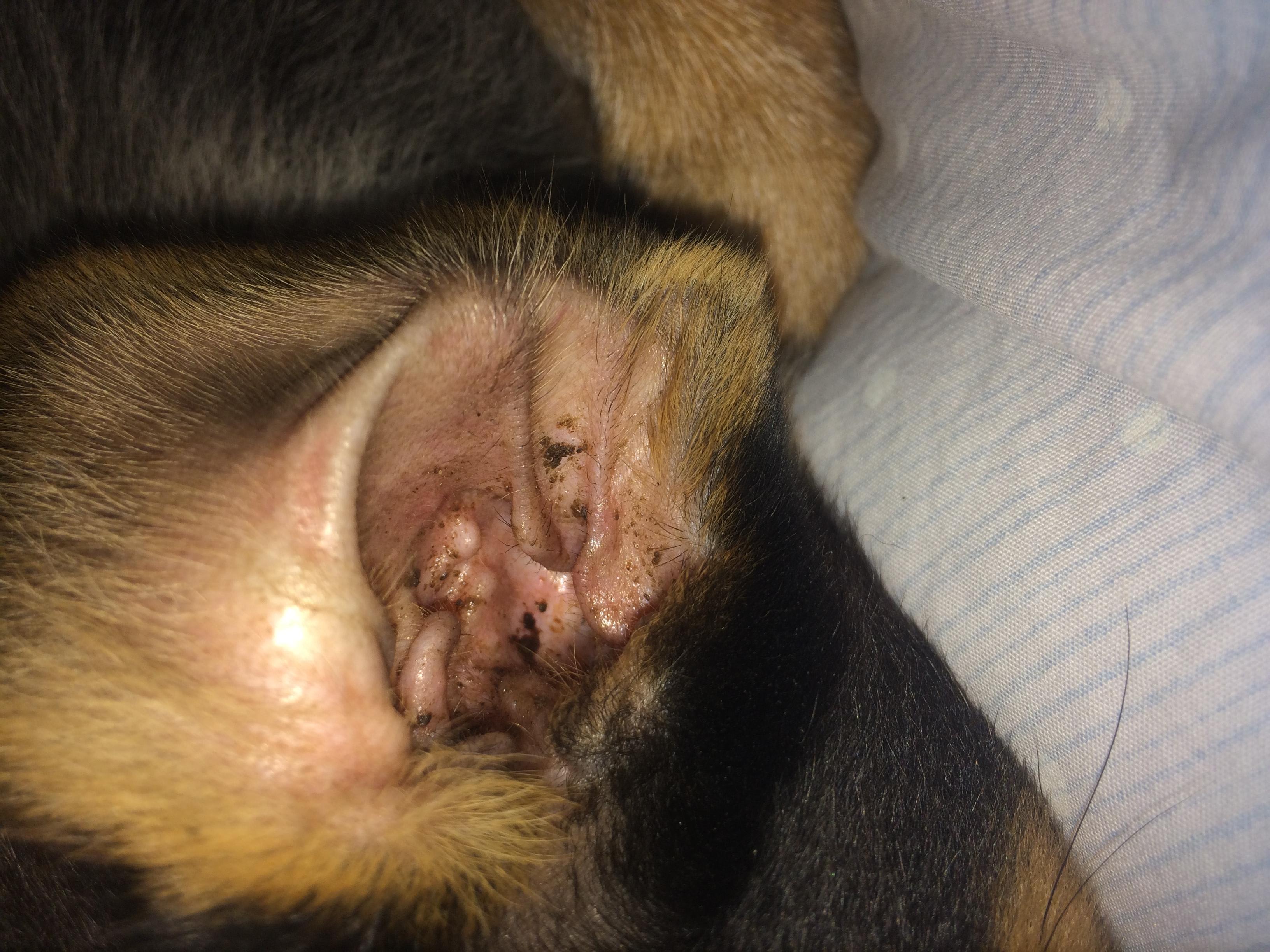 Question details sensitive content