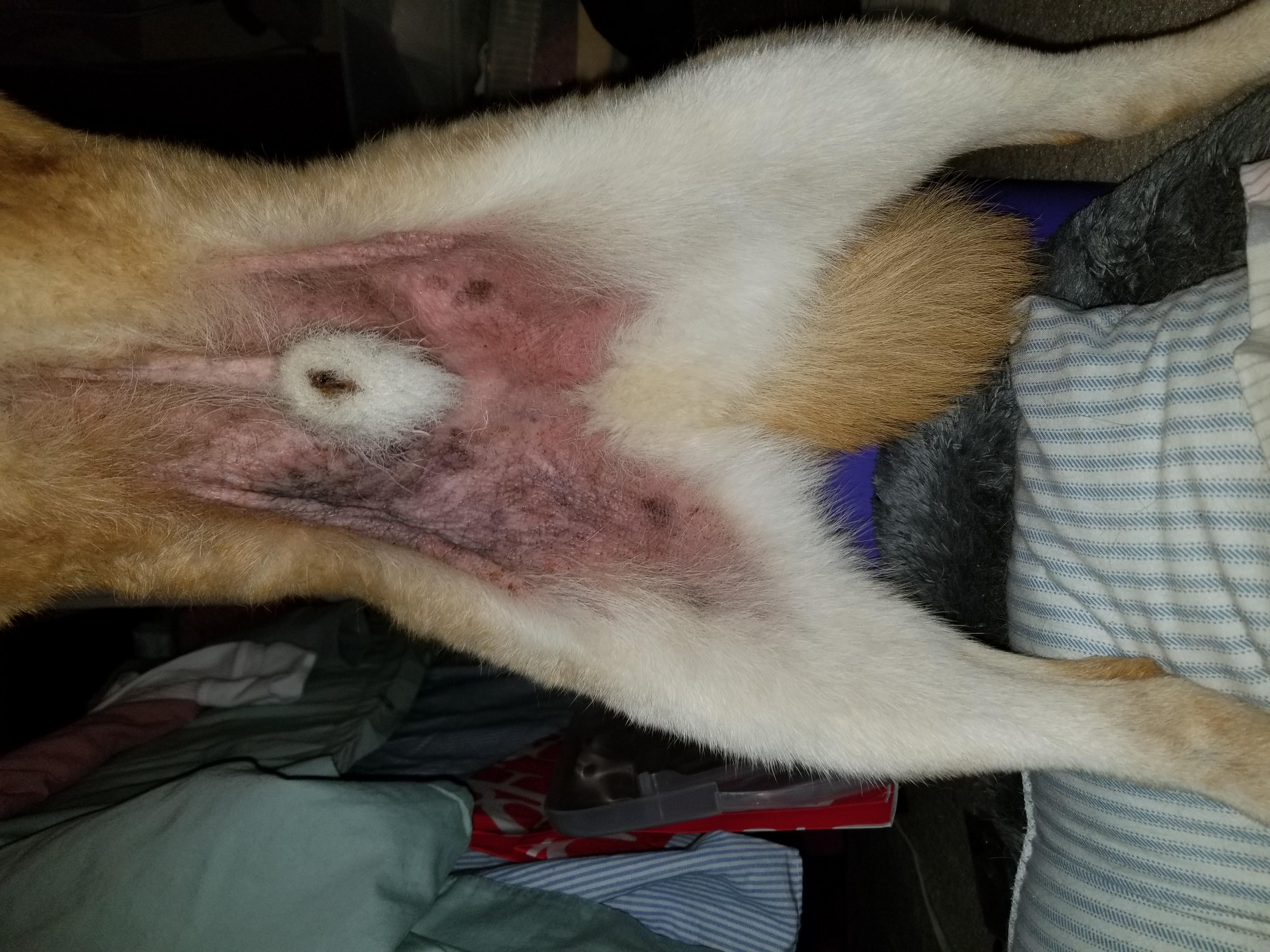 Question details sensitive content