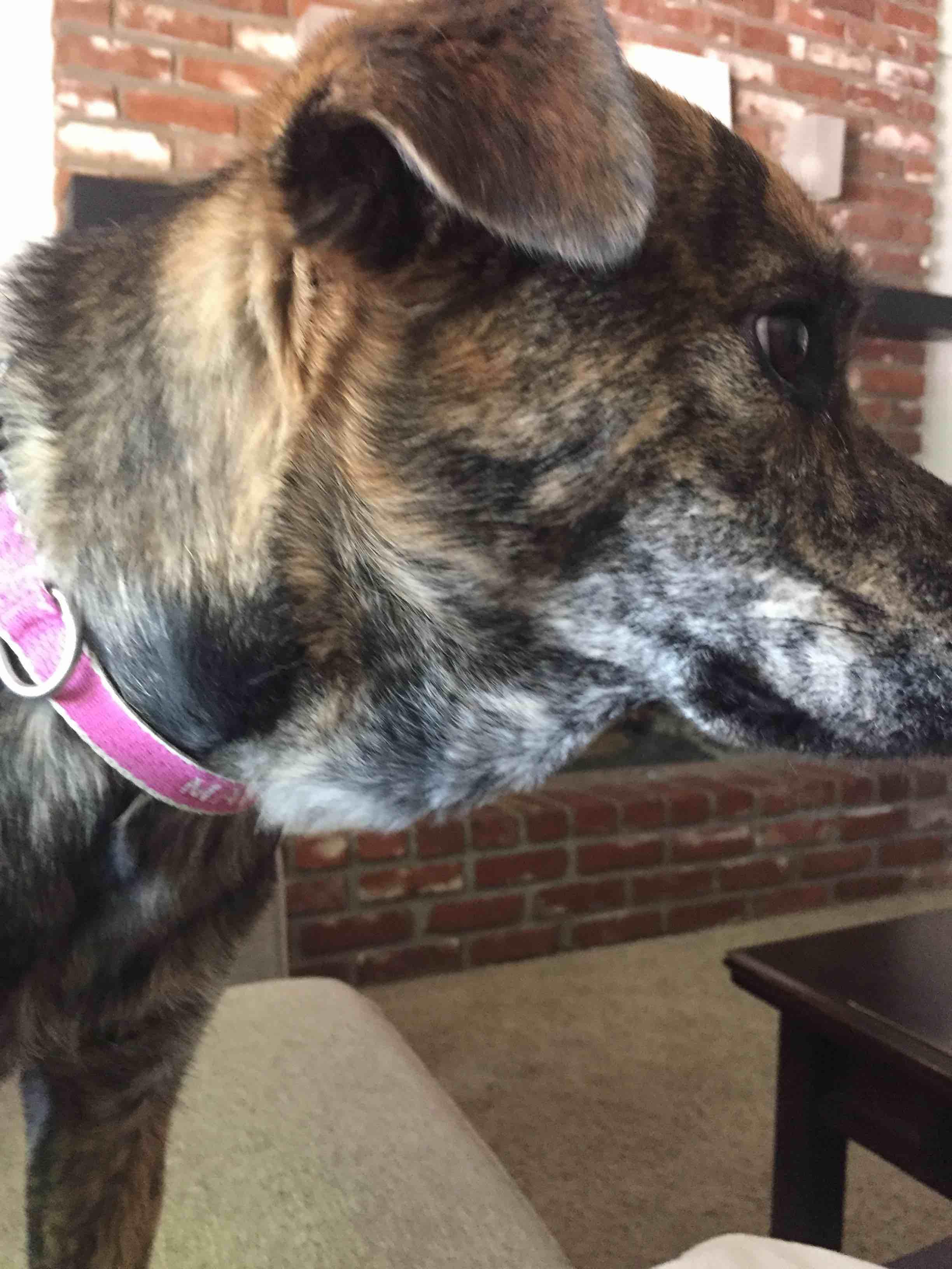 Question details sensitive content