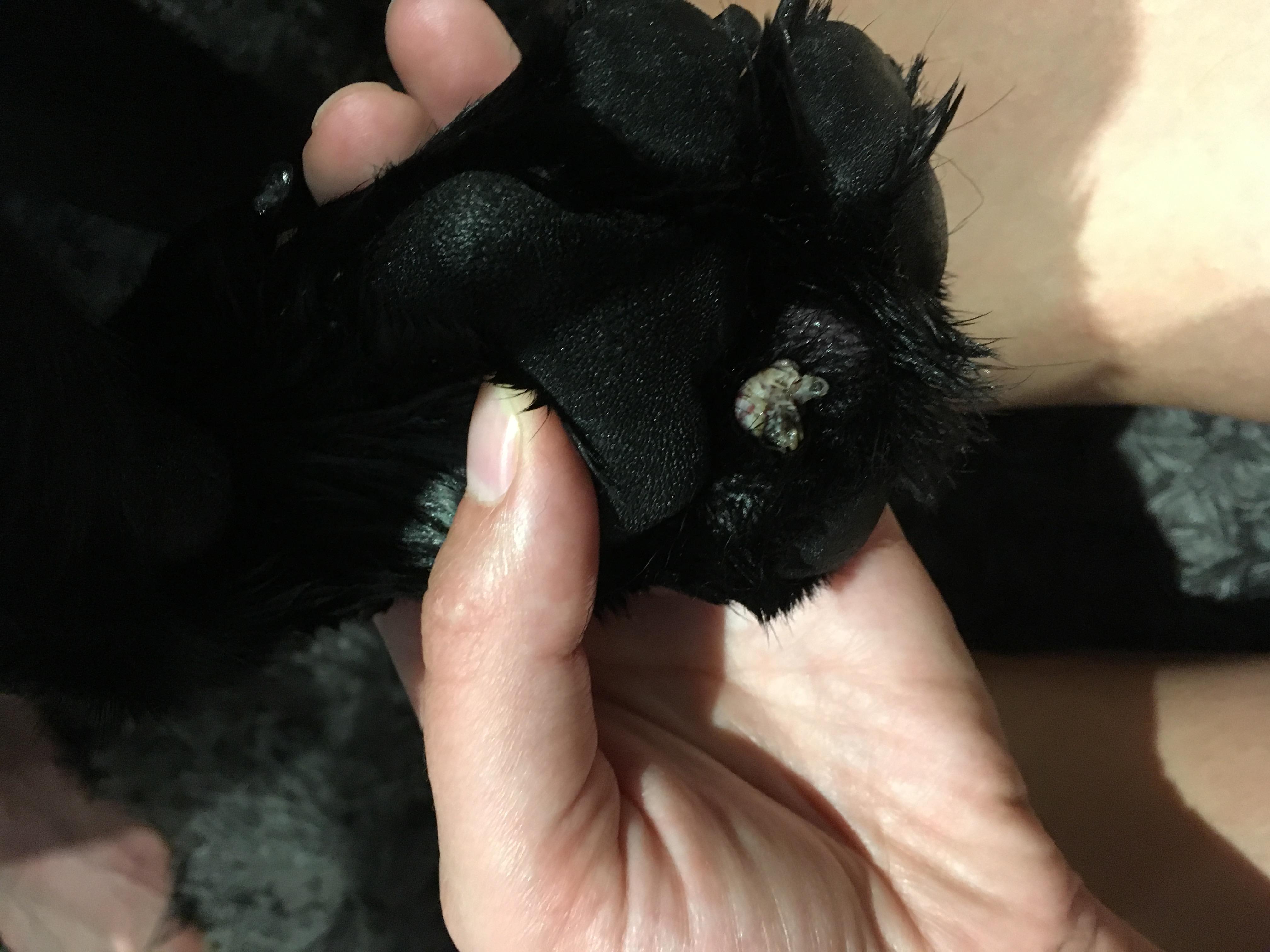 Question details sensitive content