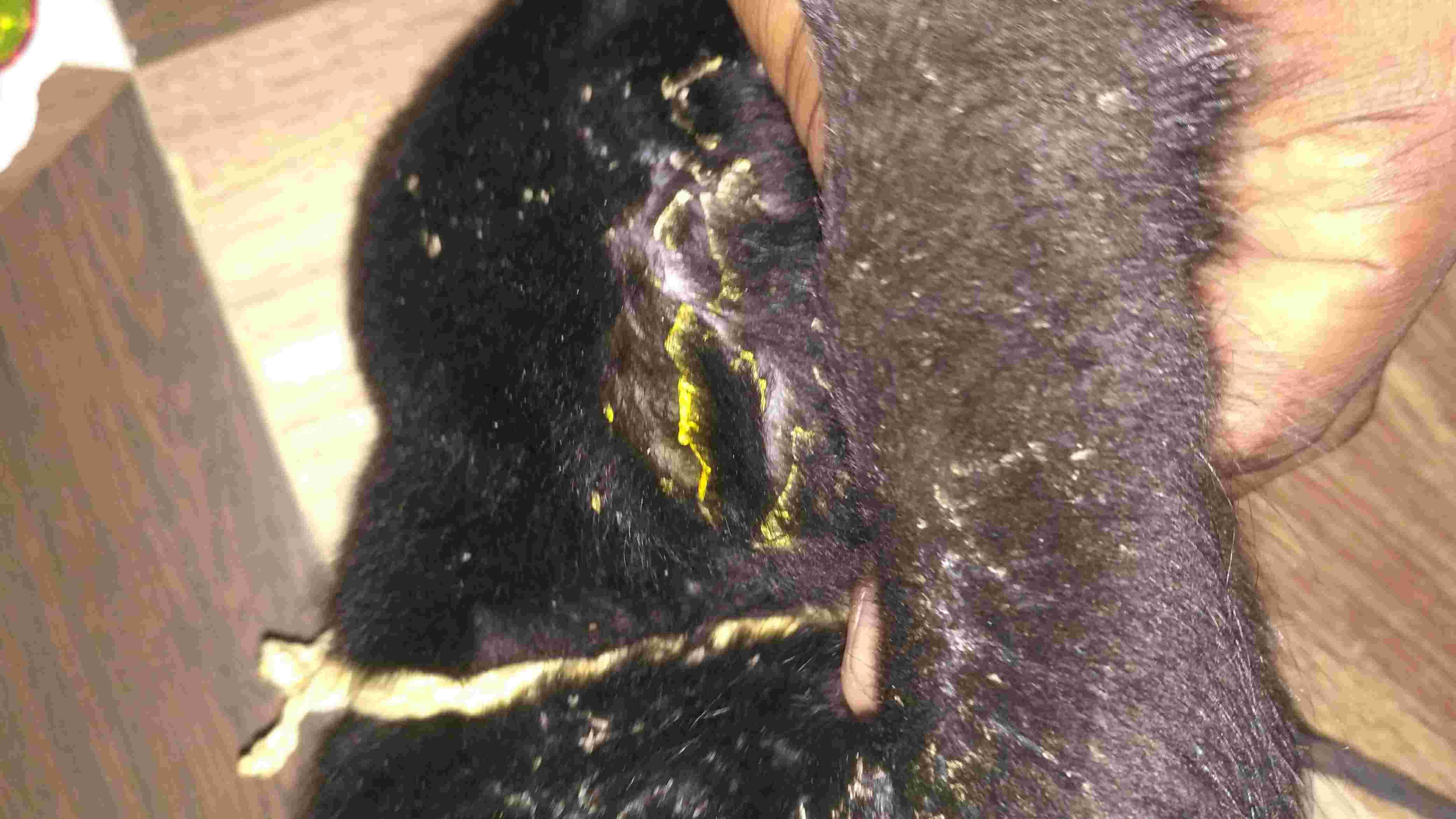 Question details sensitive content