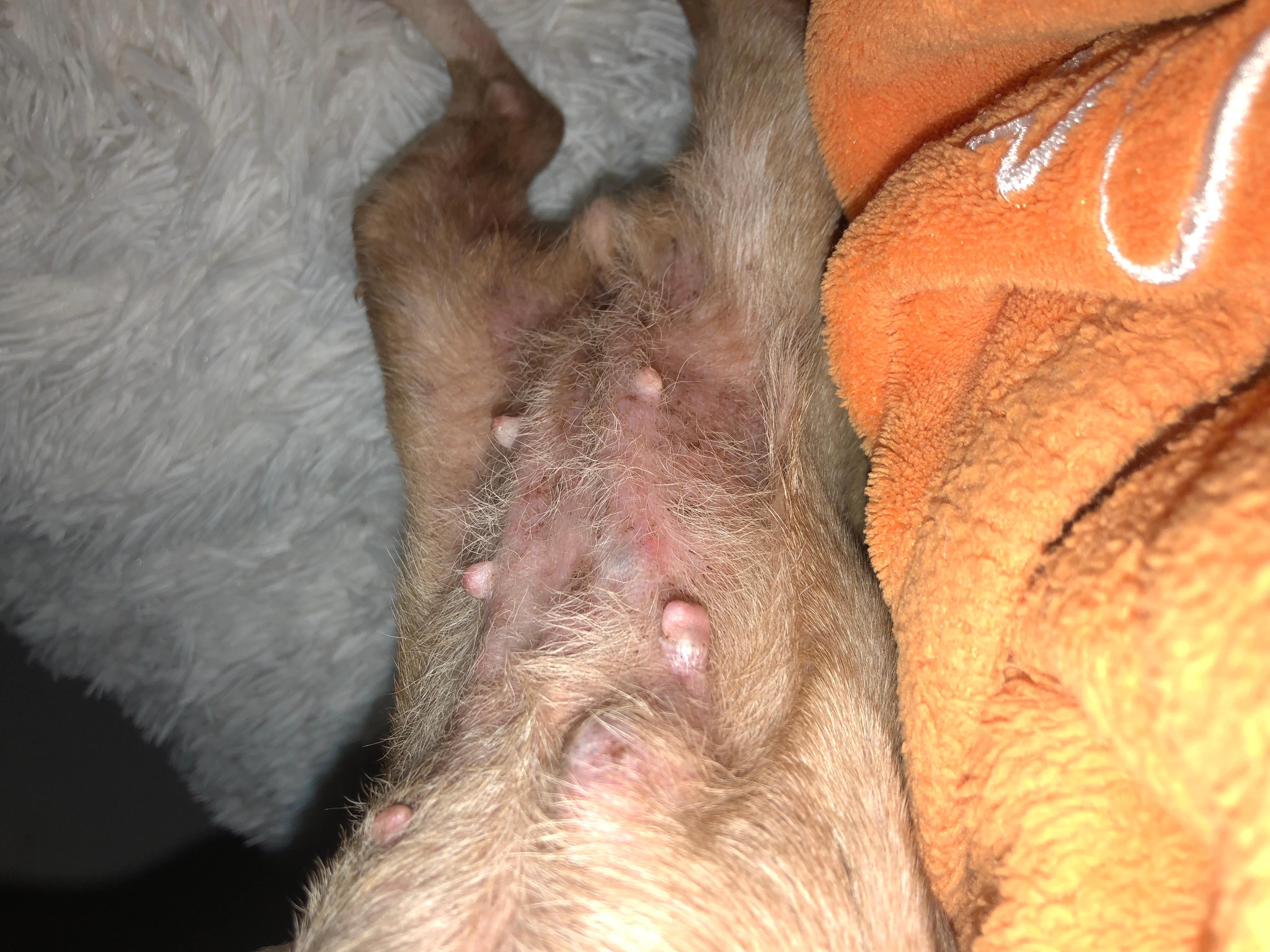 Question details sensitive content