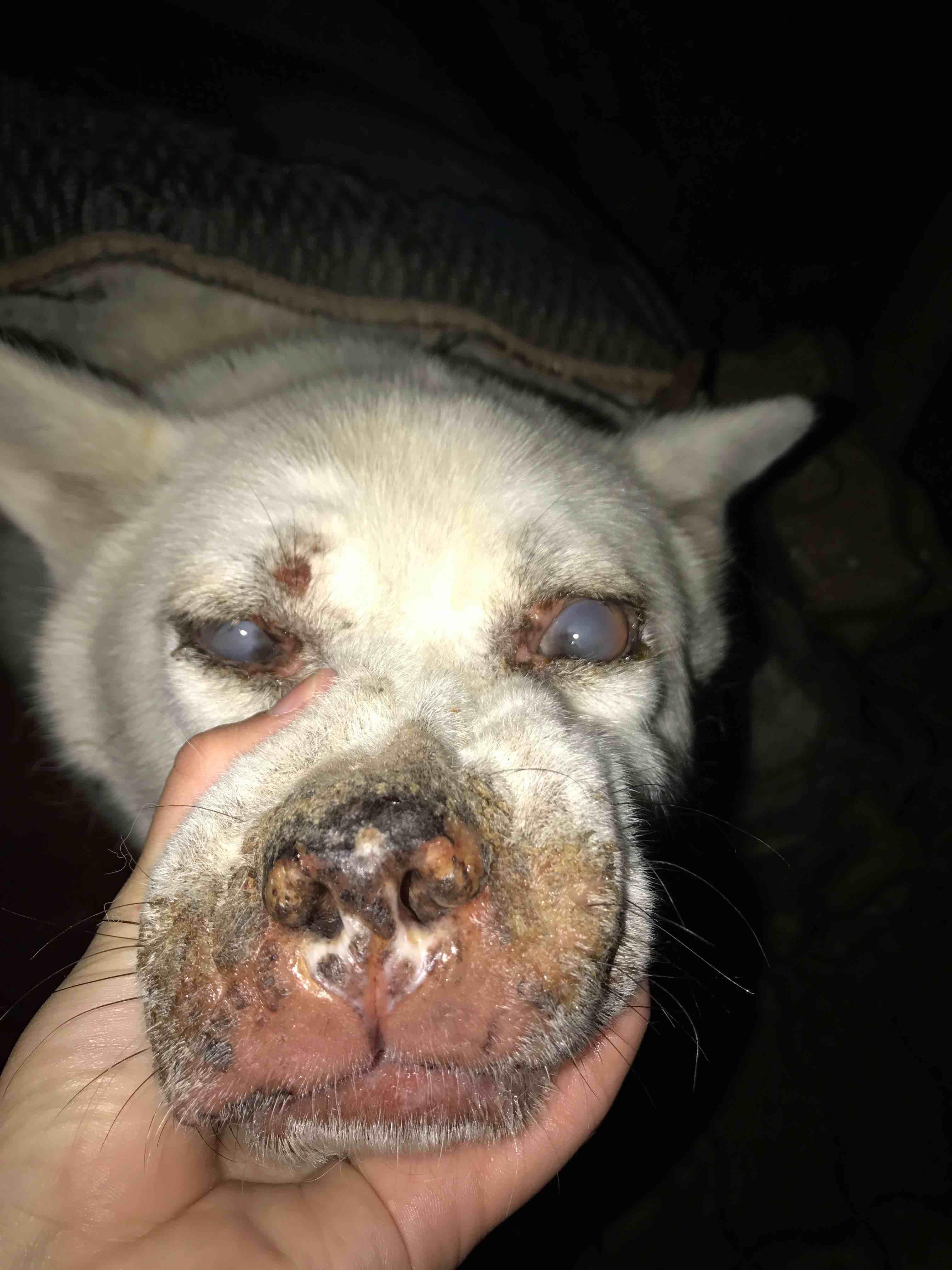 Question details sensitive content