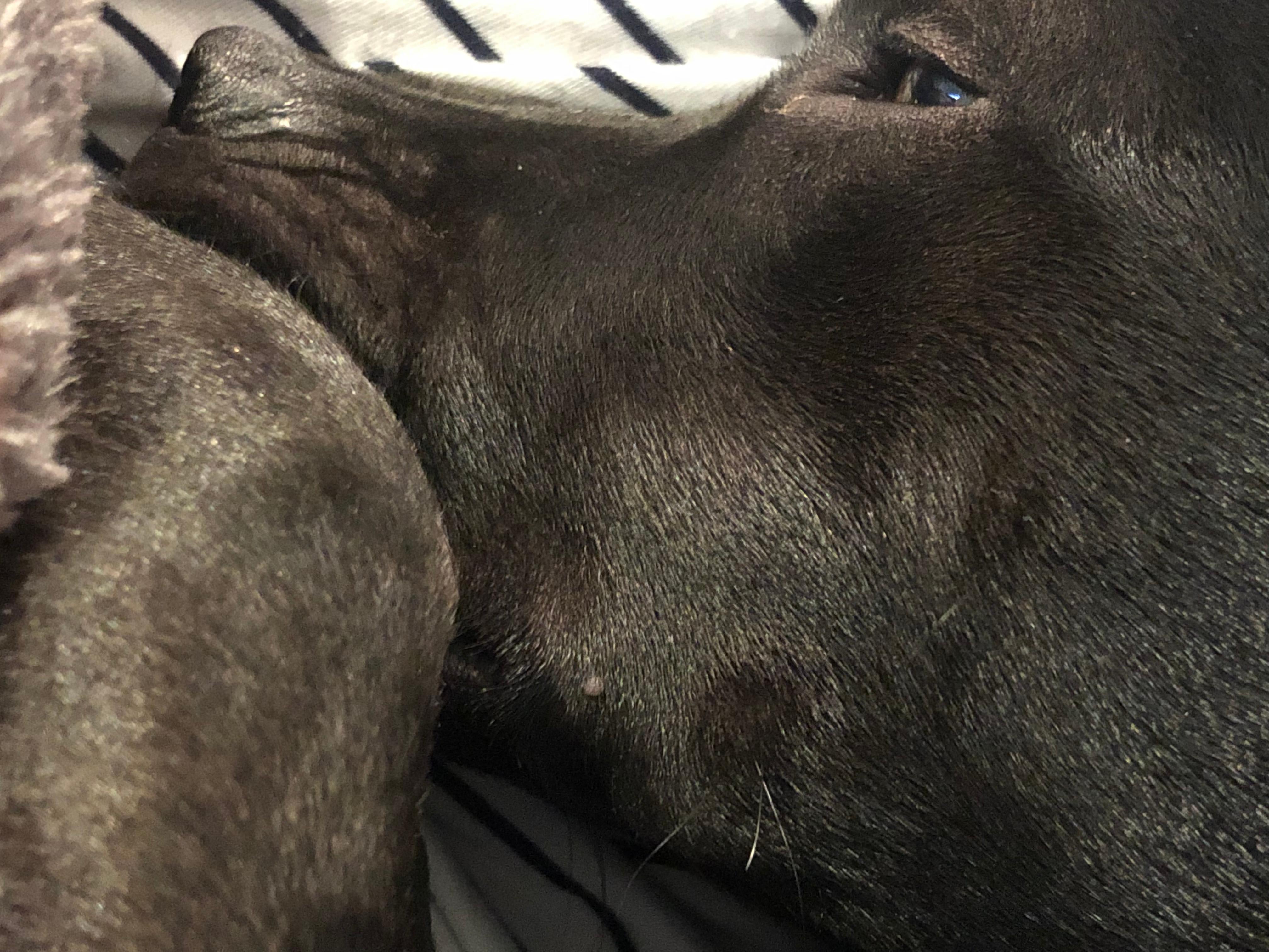 Question details sensitive content