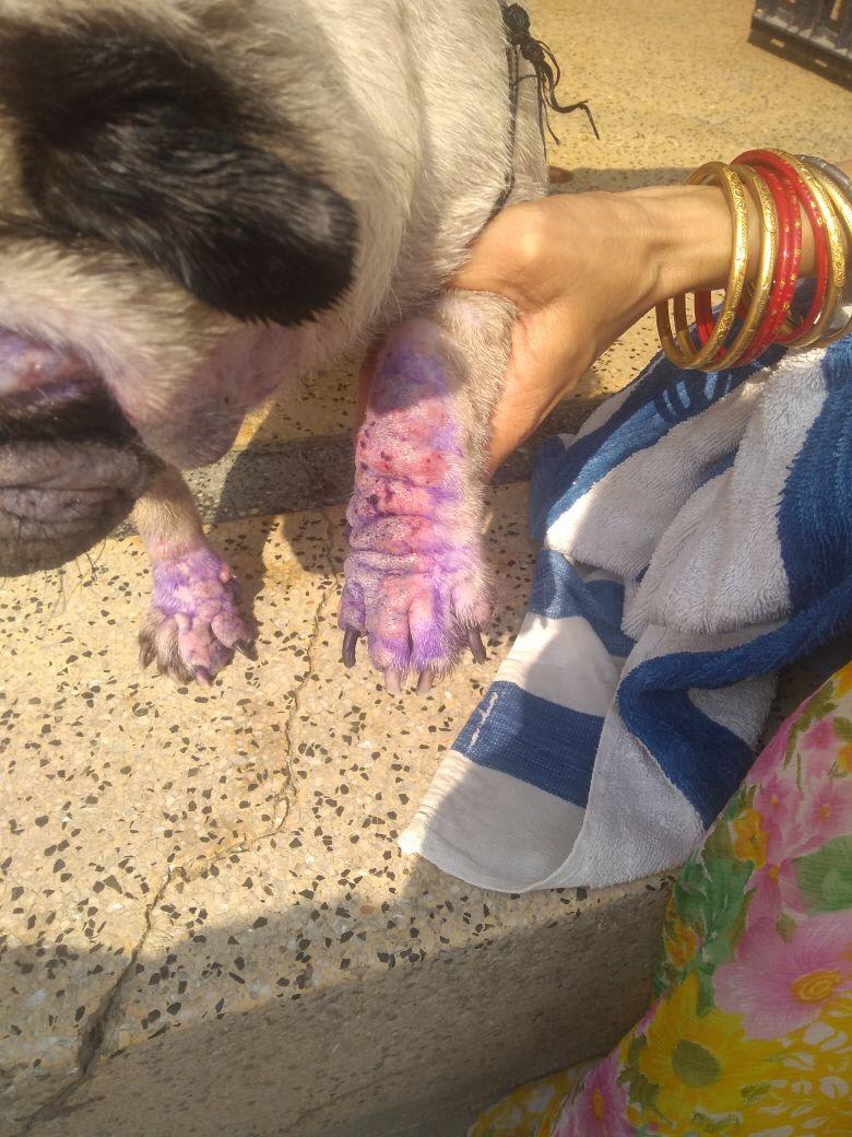 Question details sensitive content