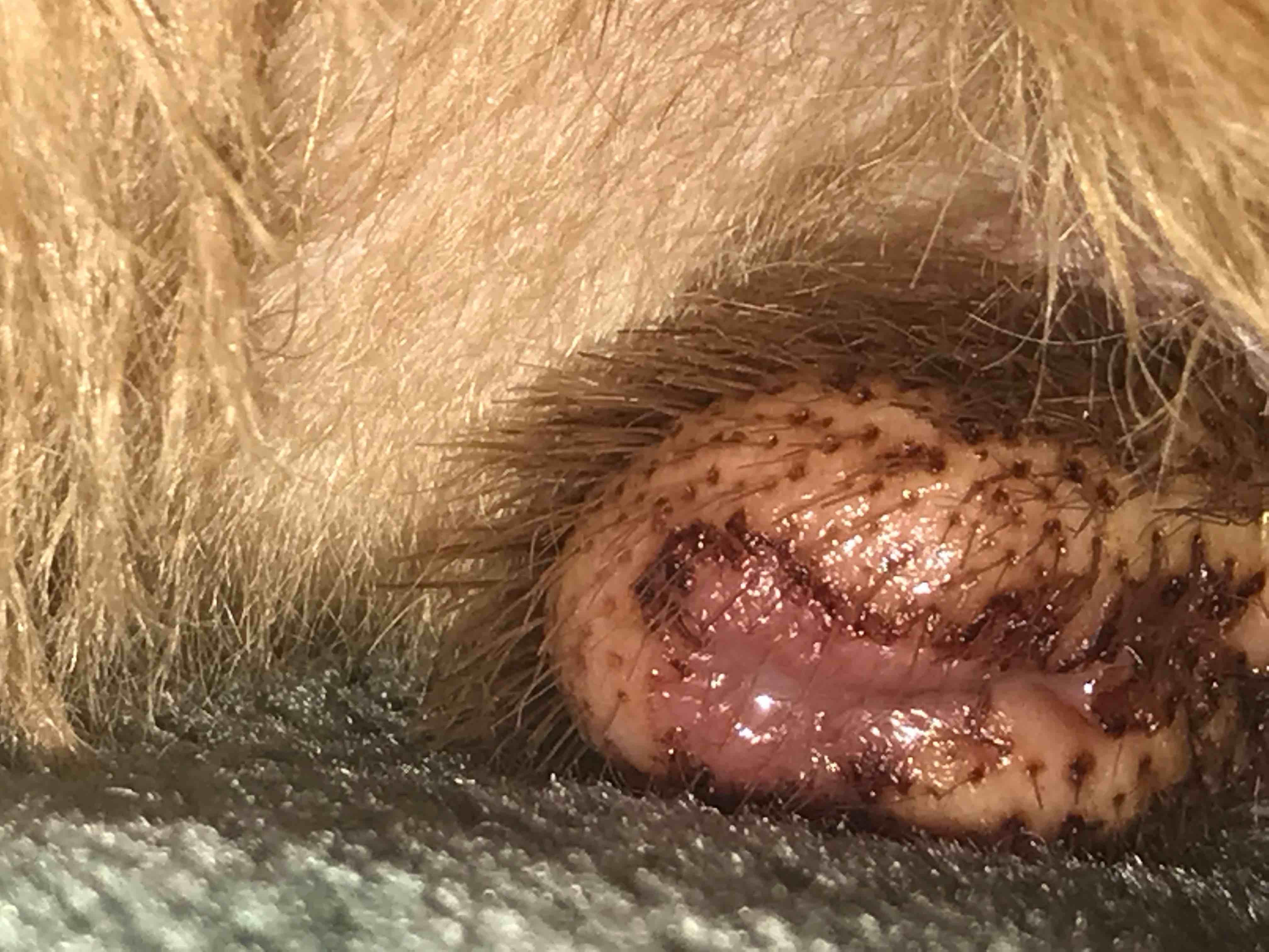 Question details sensitive content