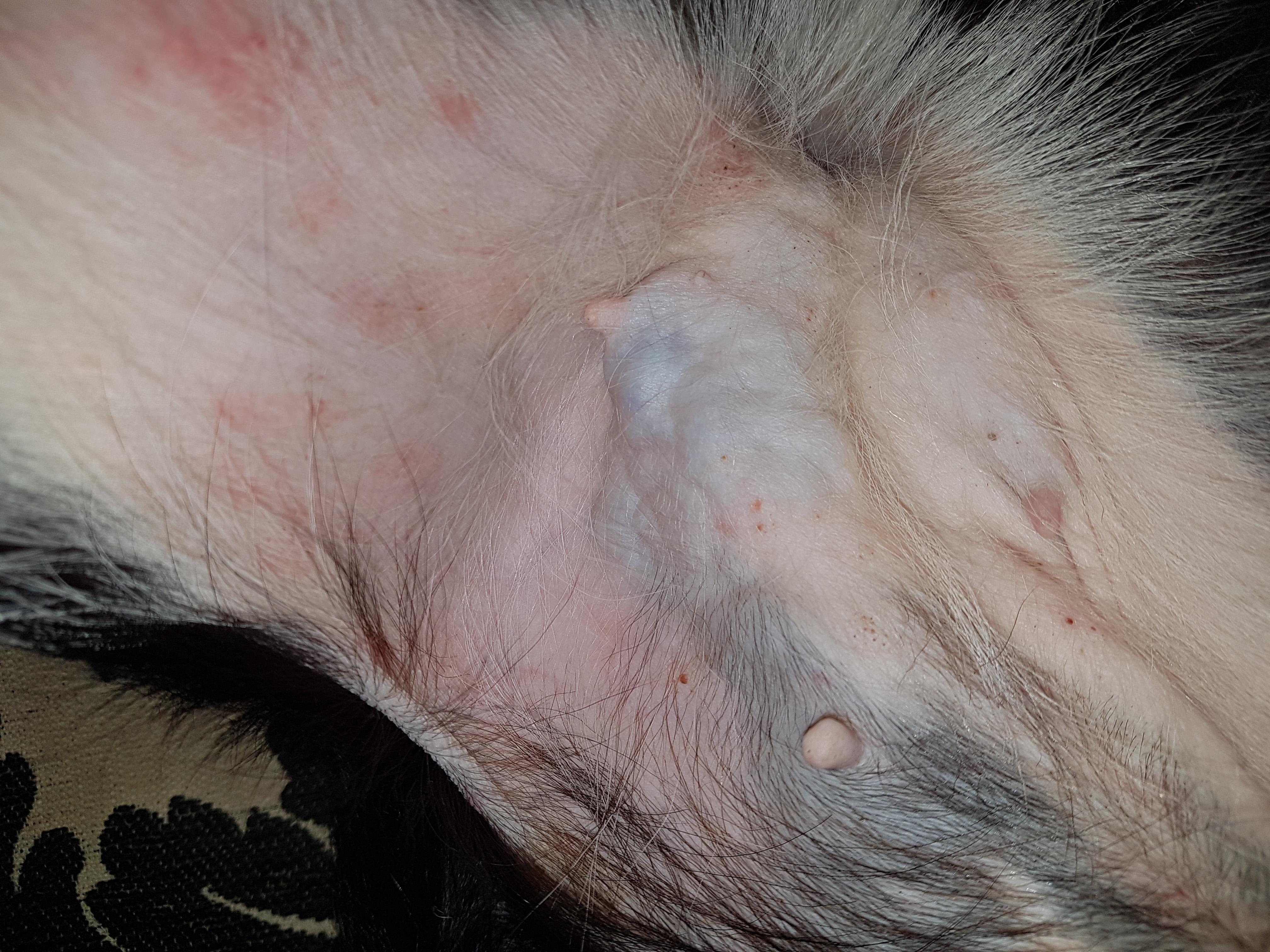 Question details sensitive content