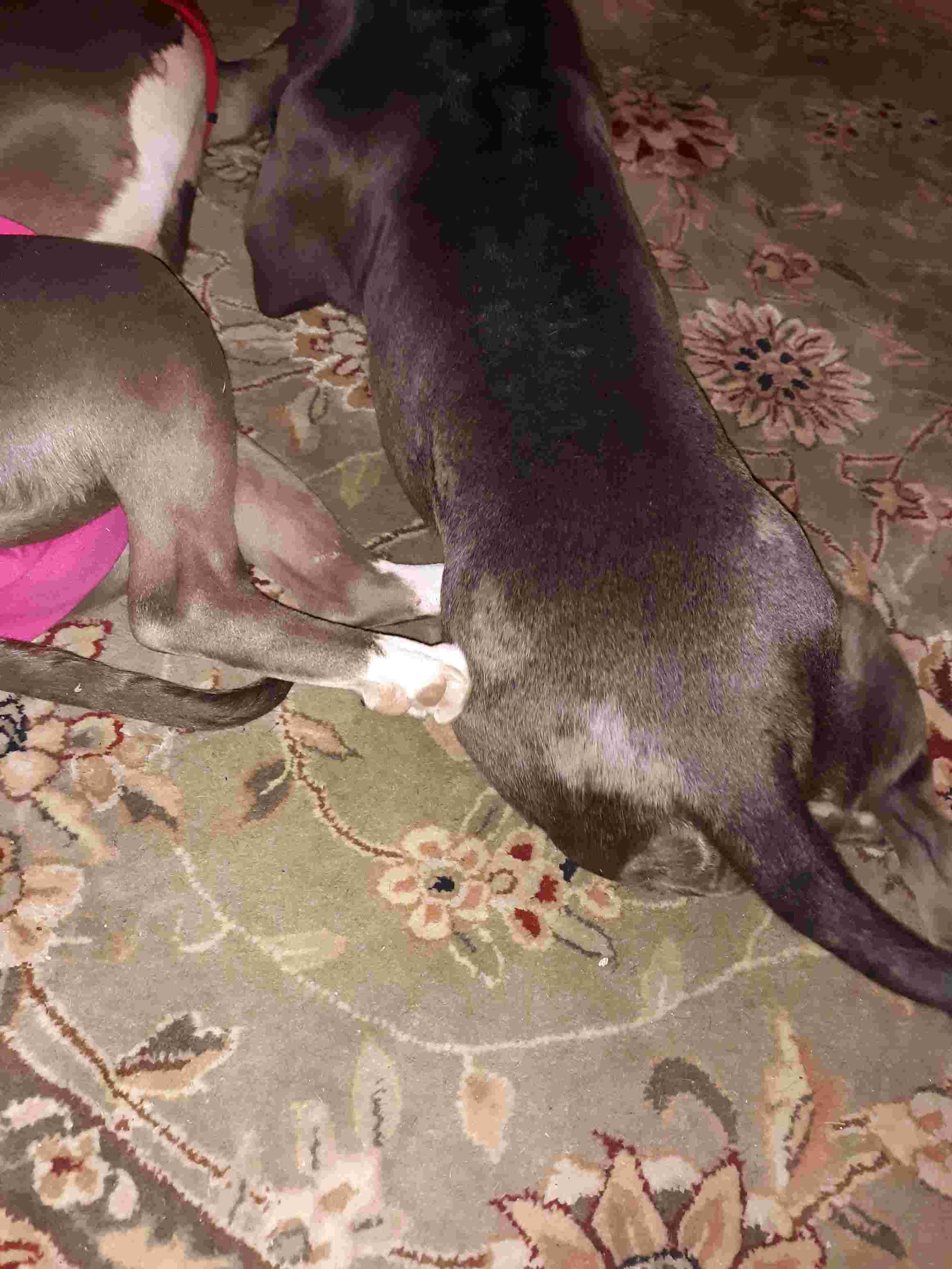 Question details sensitive content