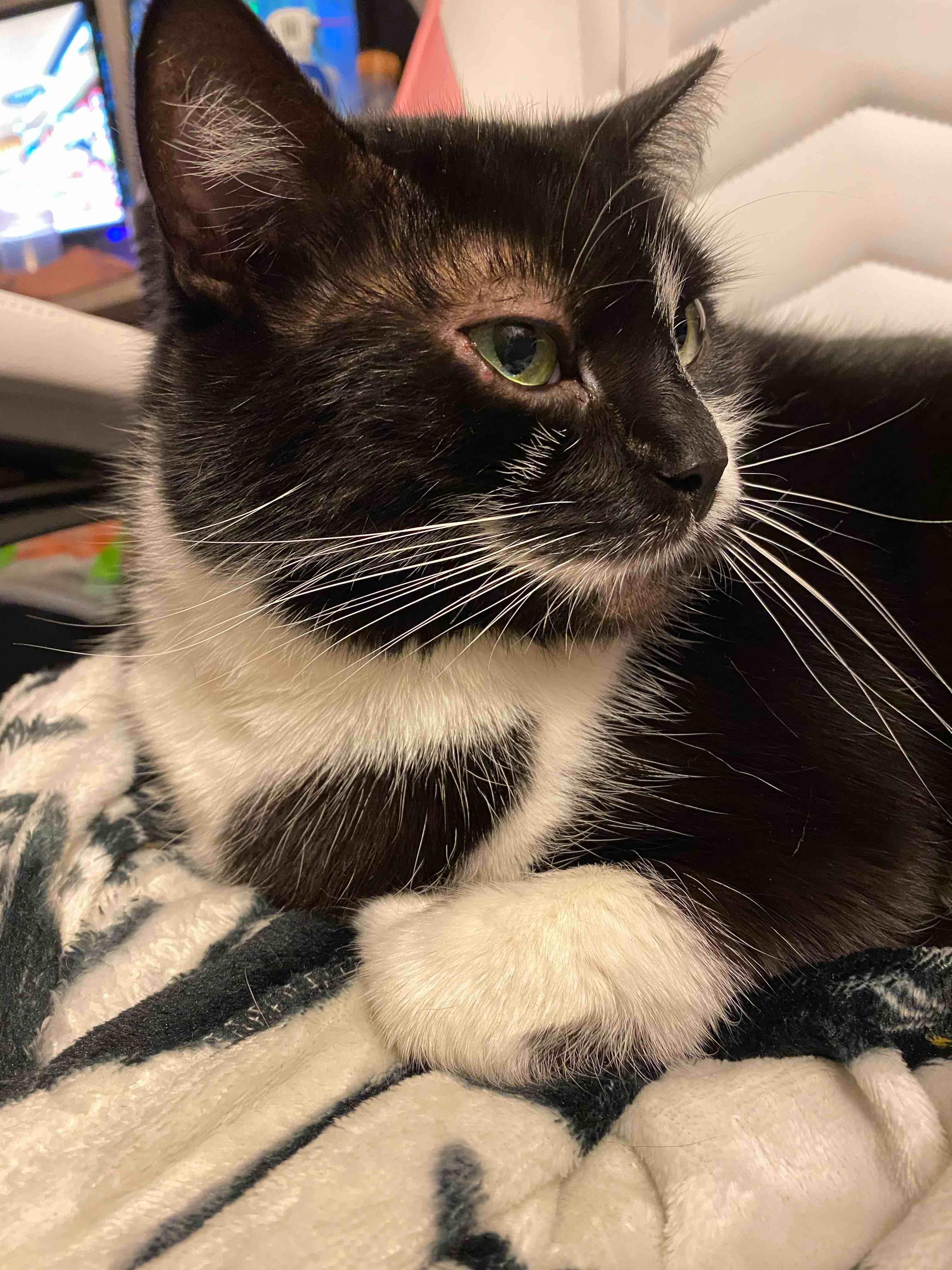 Question details sensitive content