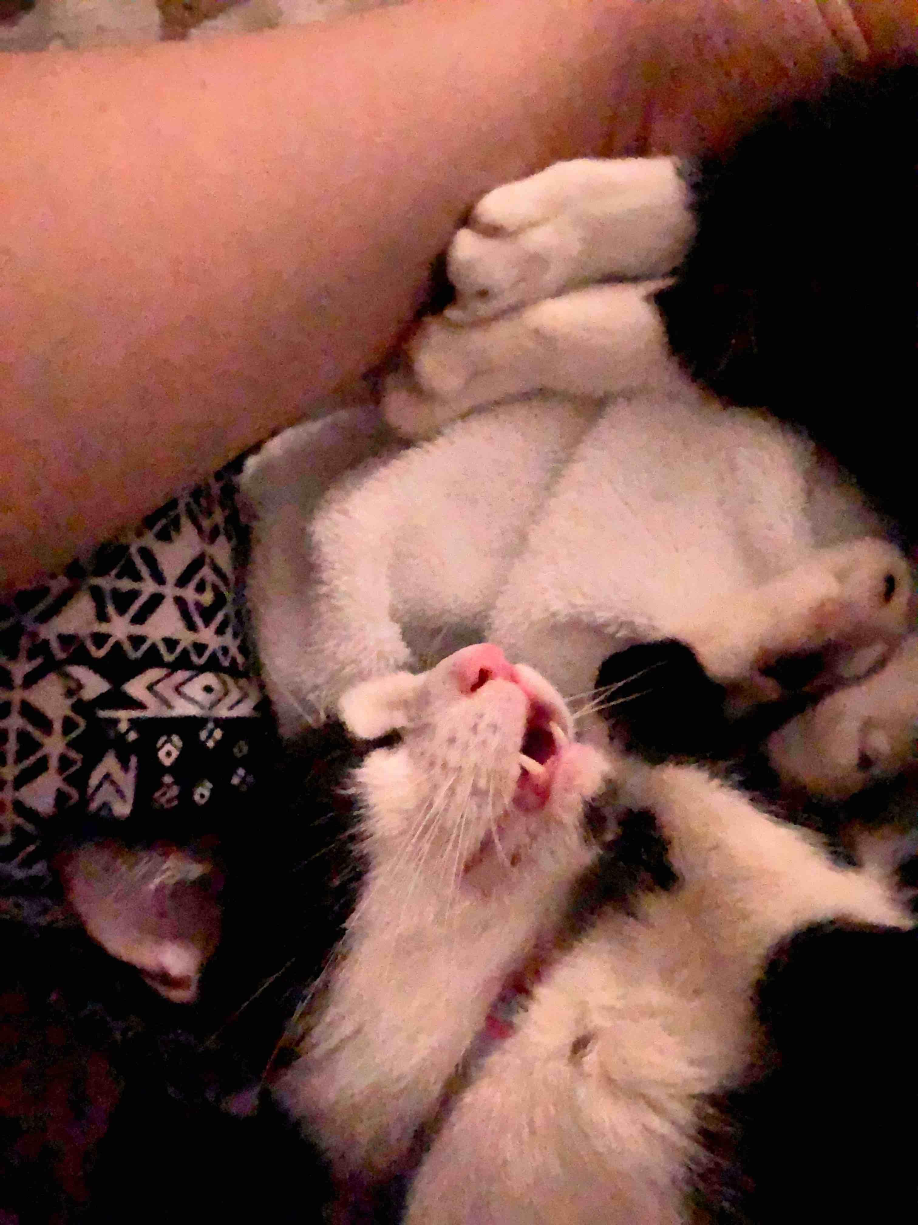 Question details sensitive content