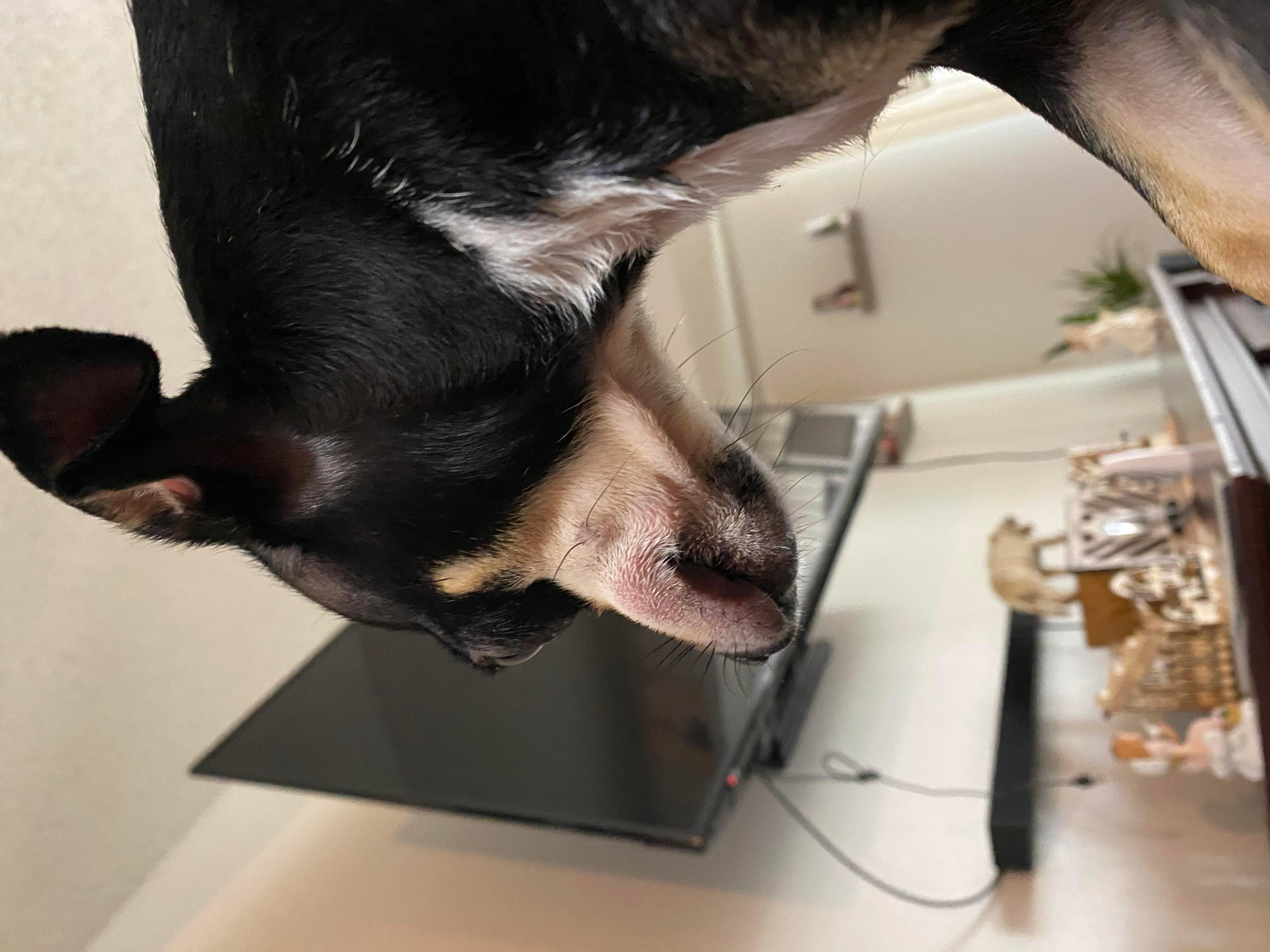 Question details sensitive content