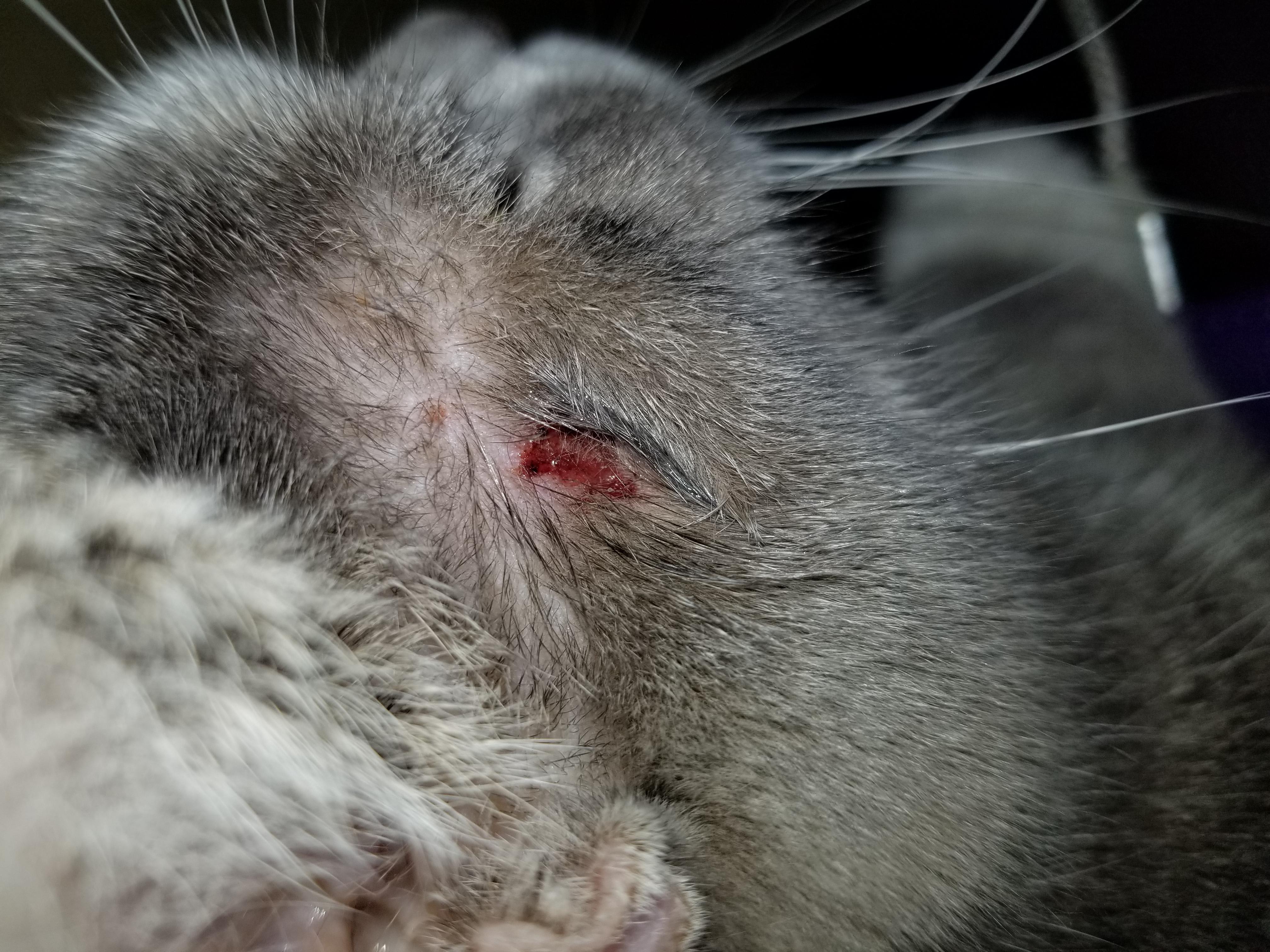 Question details sensitive content