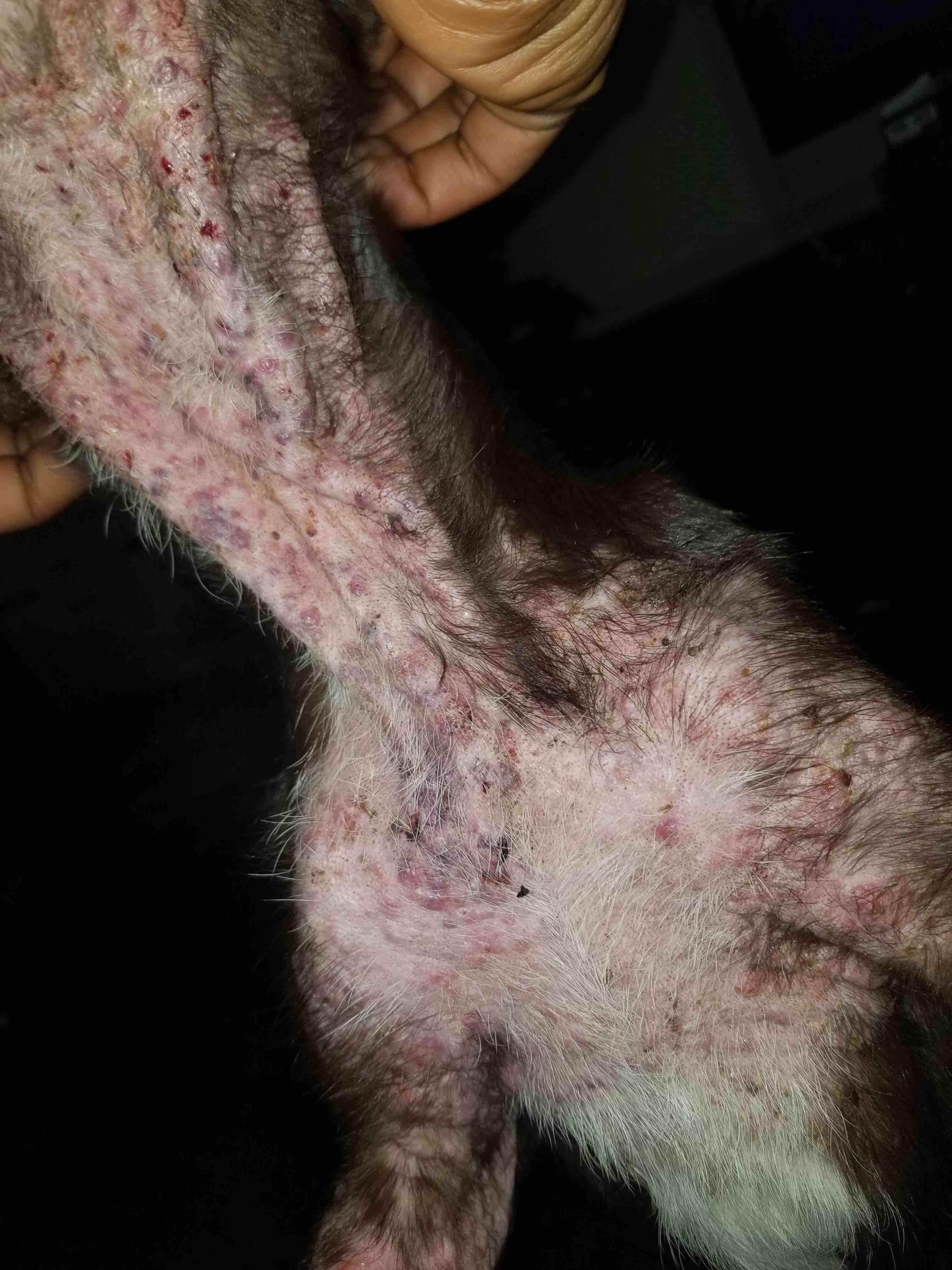 Question details sensitive content