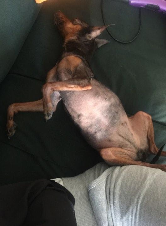 Question details sensitive content