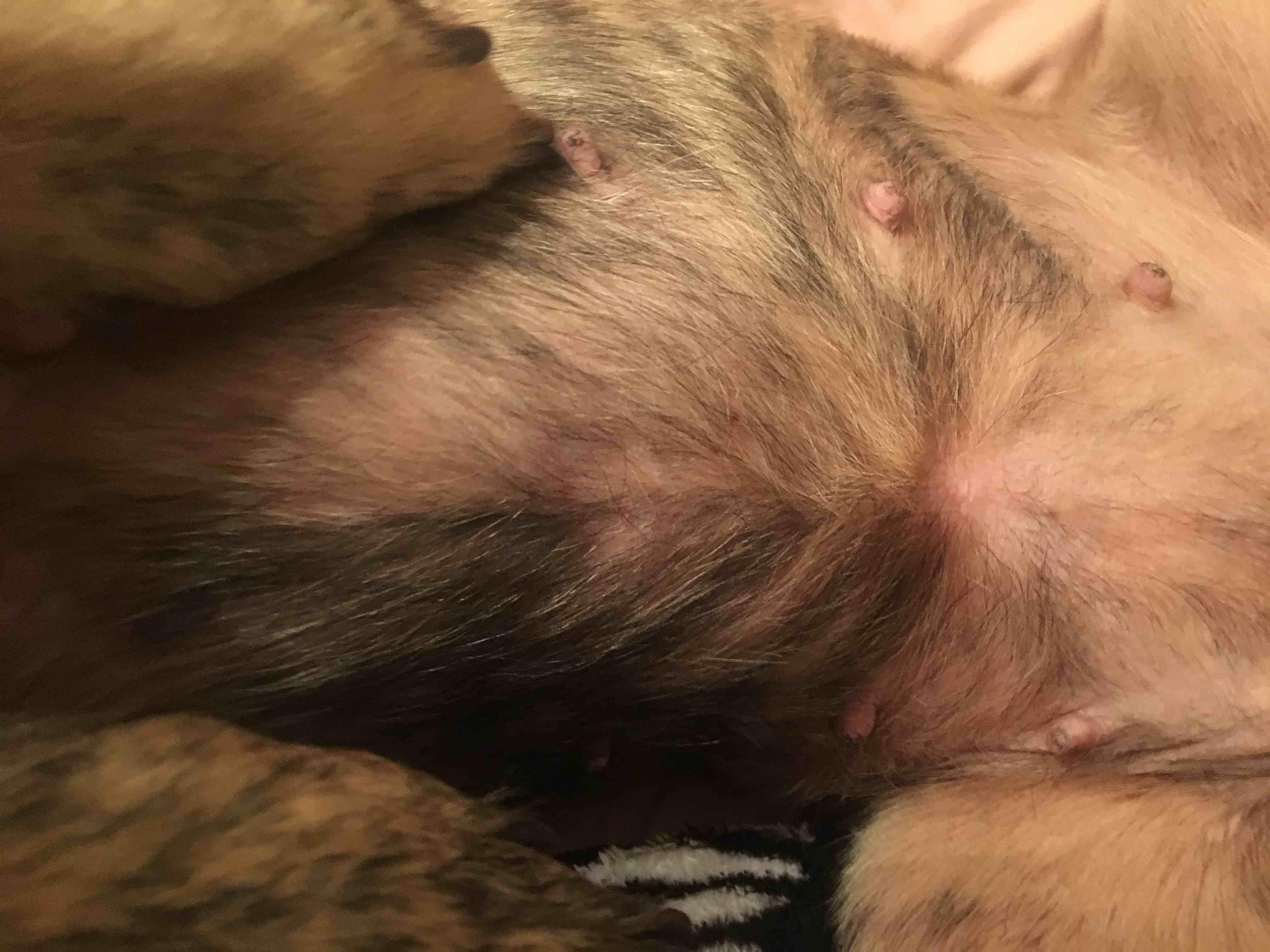 Question details sensitive content